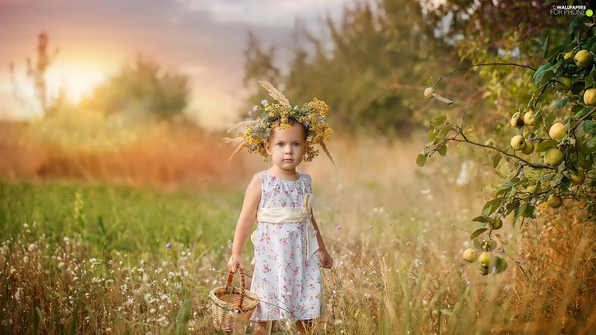 basket, girl, apple-tree, grass, apples, wreath