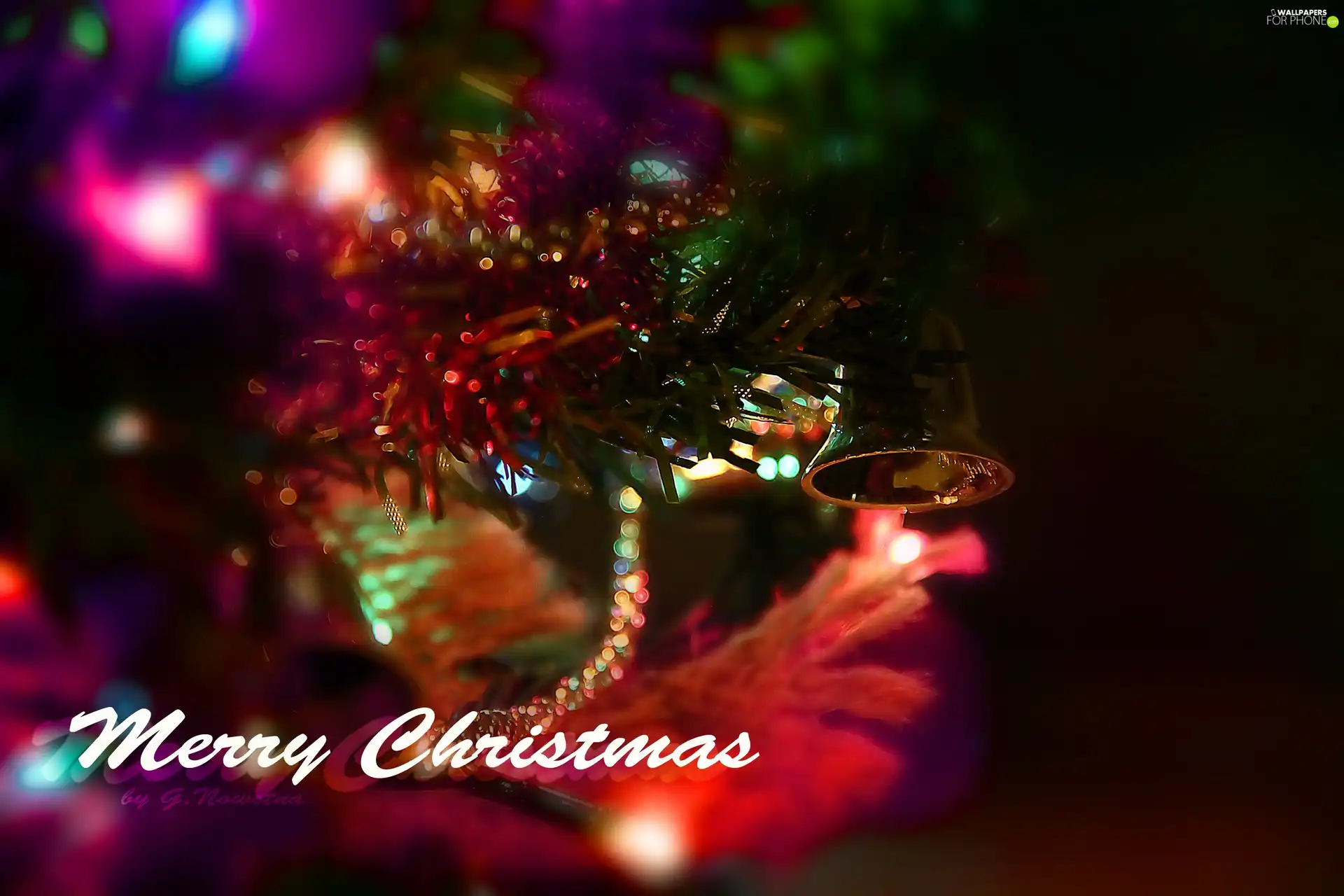 ornamentation, christmas tree
