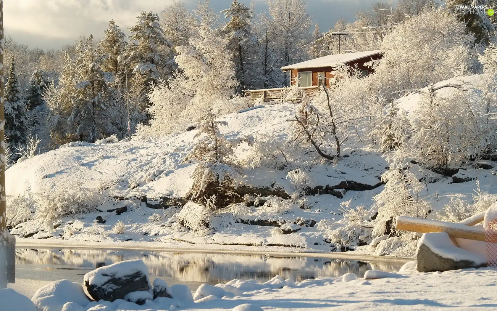 trees, winter, Bush, house, viewes, Pond - car