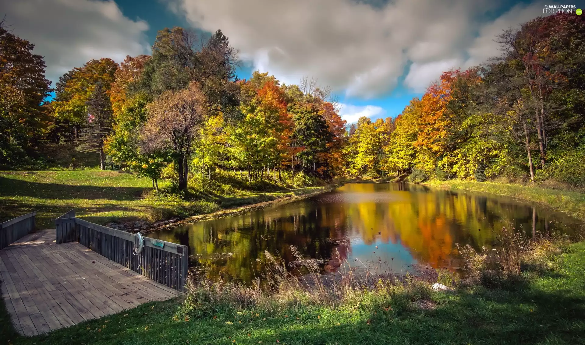 viewes, autumn, bridges, trees, Pond - car