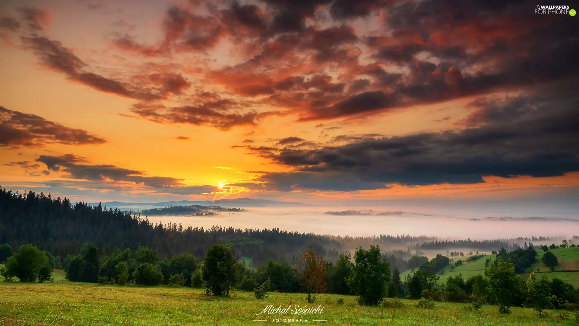 viewes, woods, clouds, trees, Mountains, Field, Sunrise