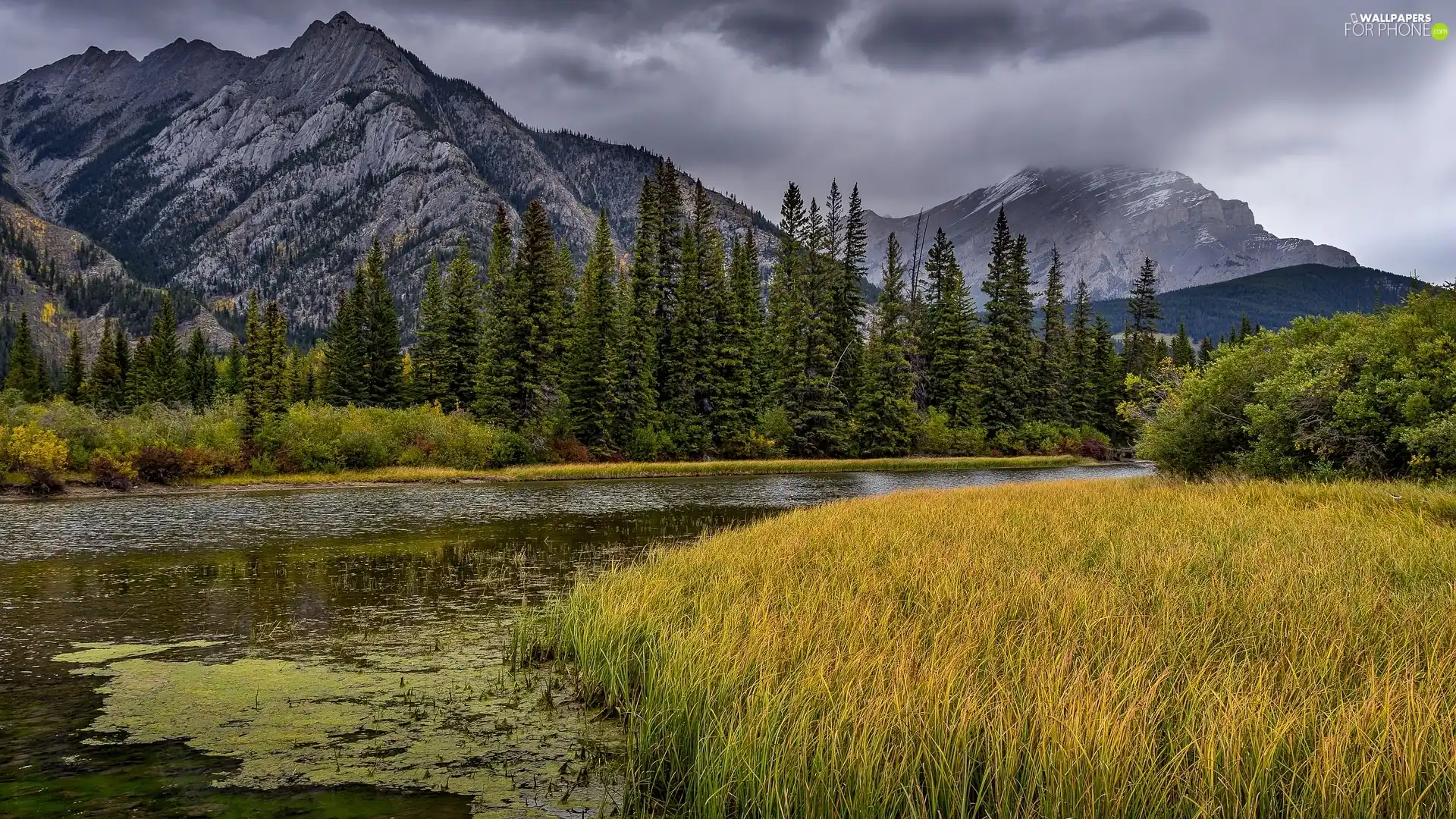 viewes, River, dark, trees, Mountains, grass, clouds