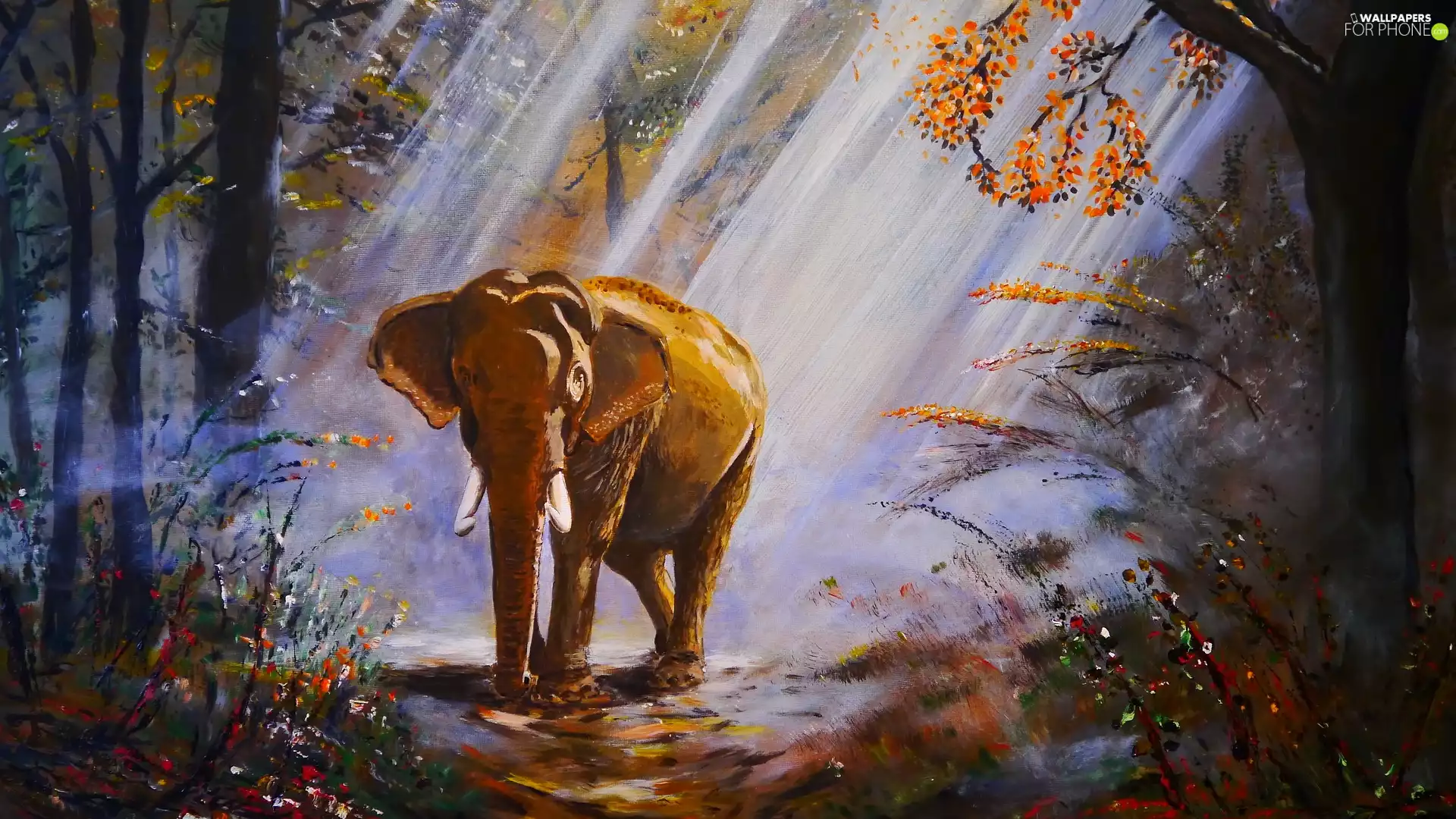 forest, painting, ligh, Way, flash, viewes, trees, Elephant, picture, luminosity, sun