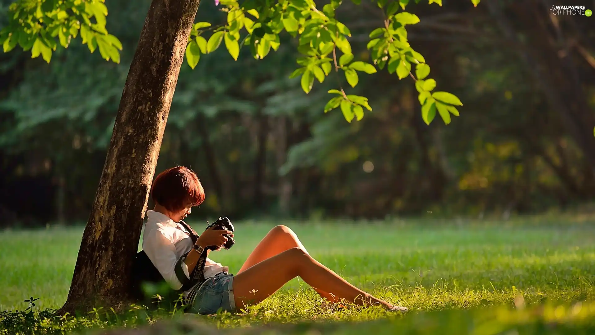 girl, Camera, trees, camera