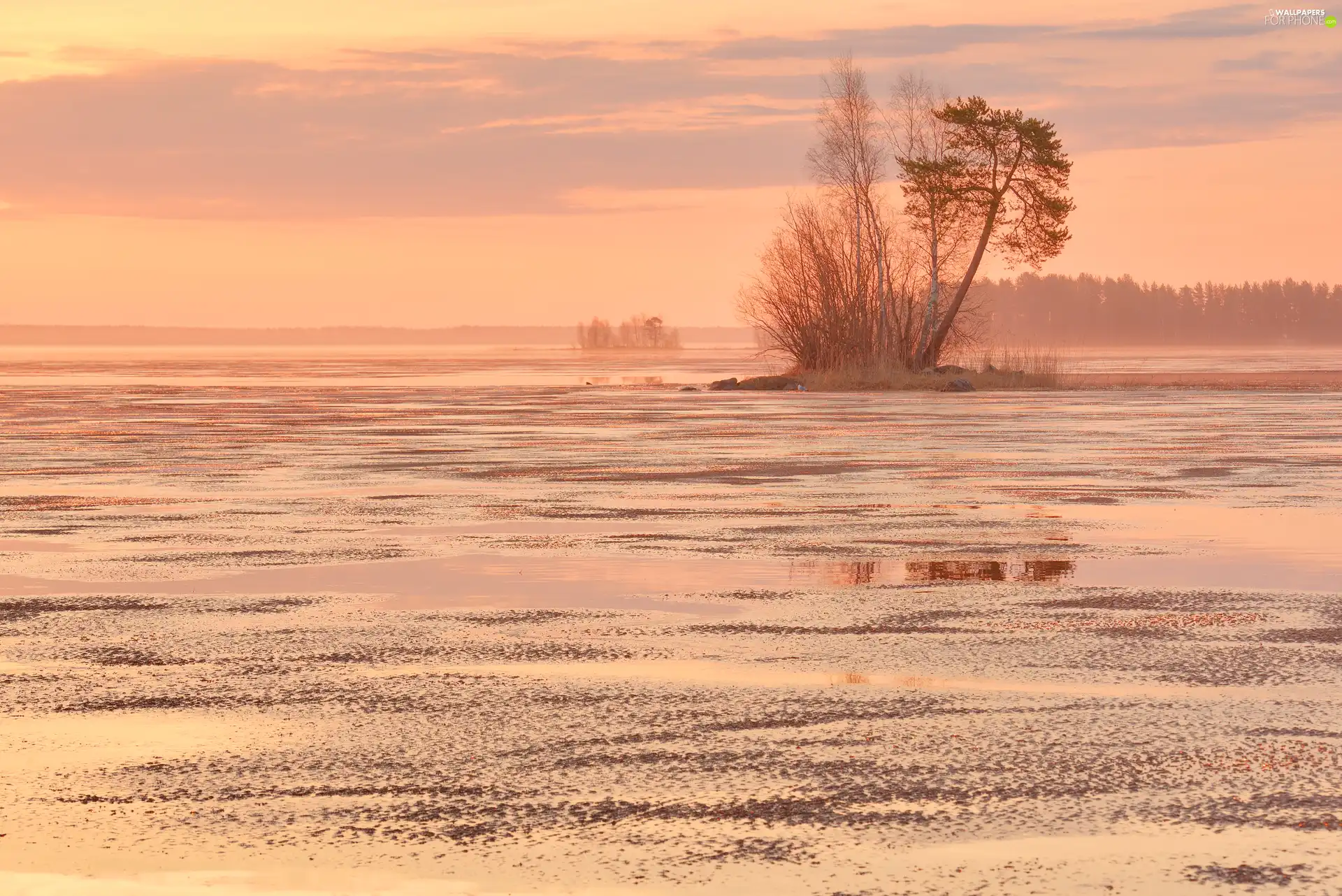 lake, trees, Great Sunsets, Islet