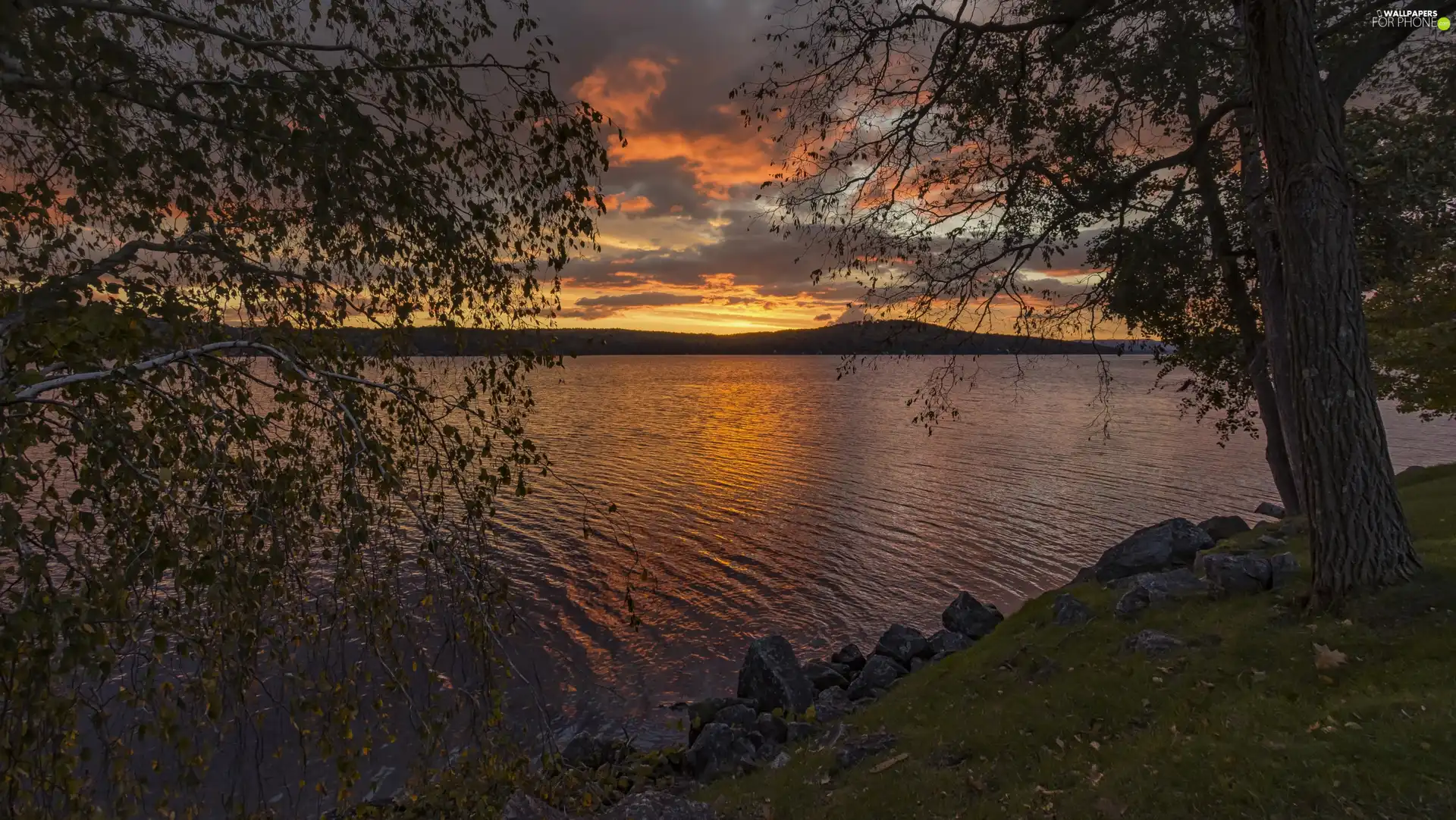 Great Sunsets, River, trees