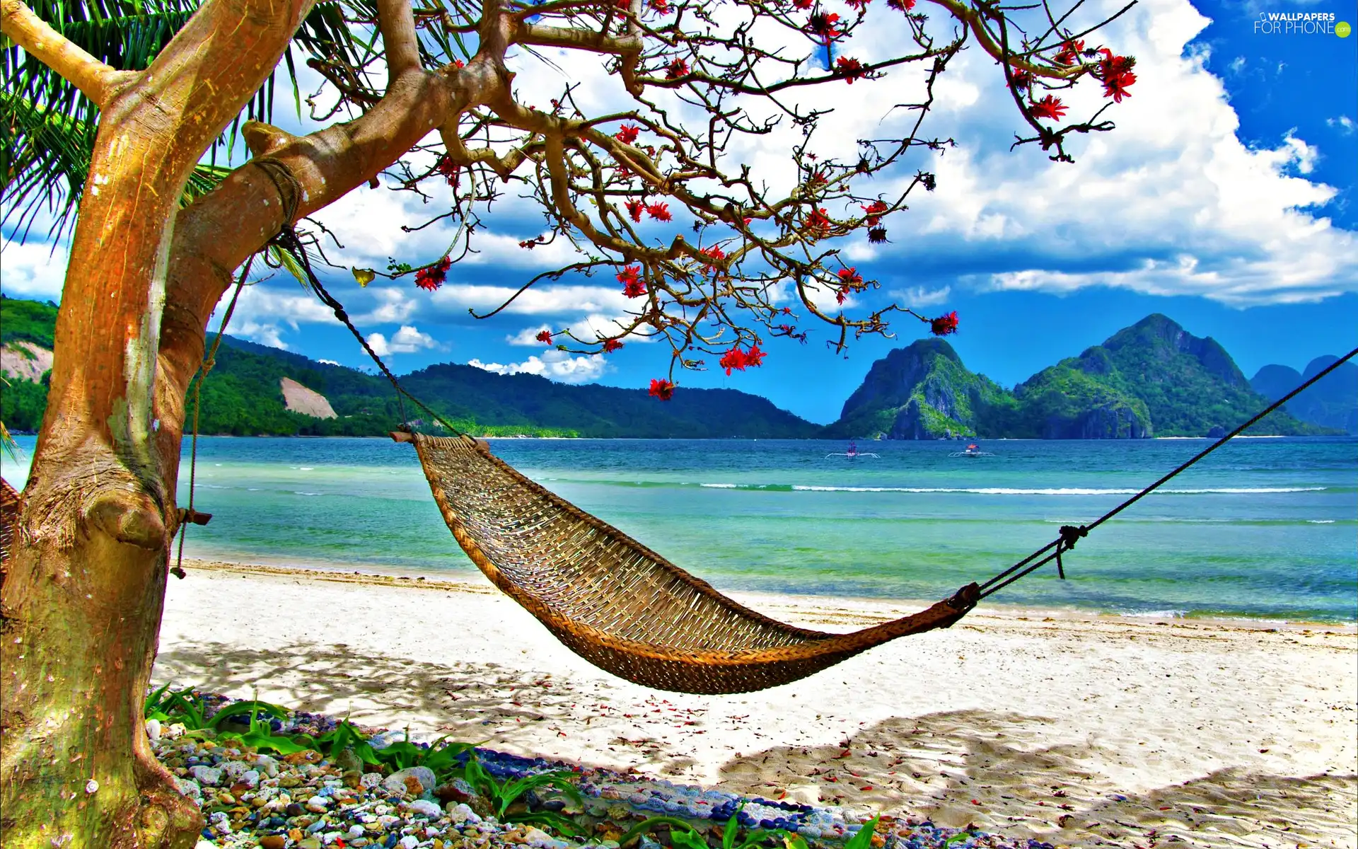 trees, Hammock, Mountains, Beaches, sea