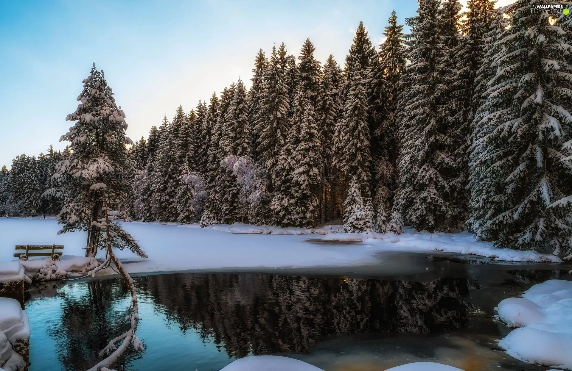 viewes, forest, lake, trees, winter, Bench, reflection