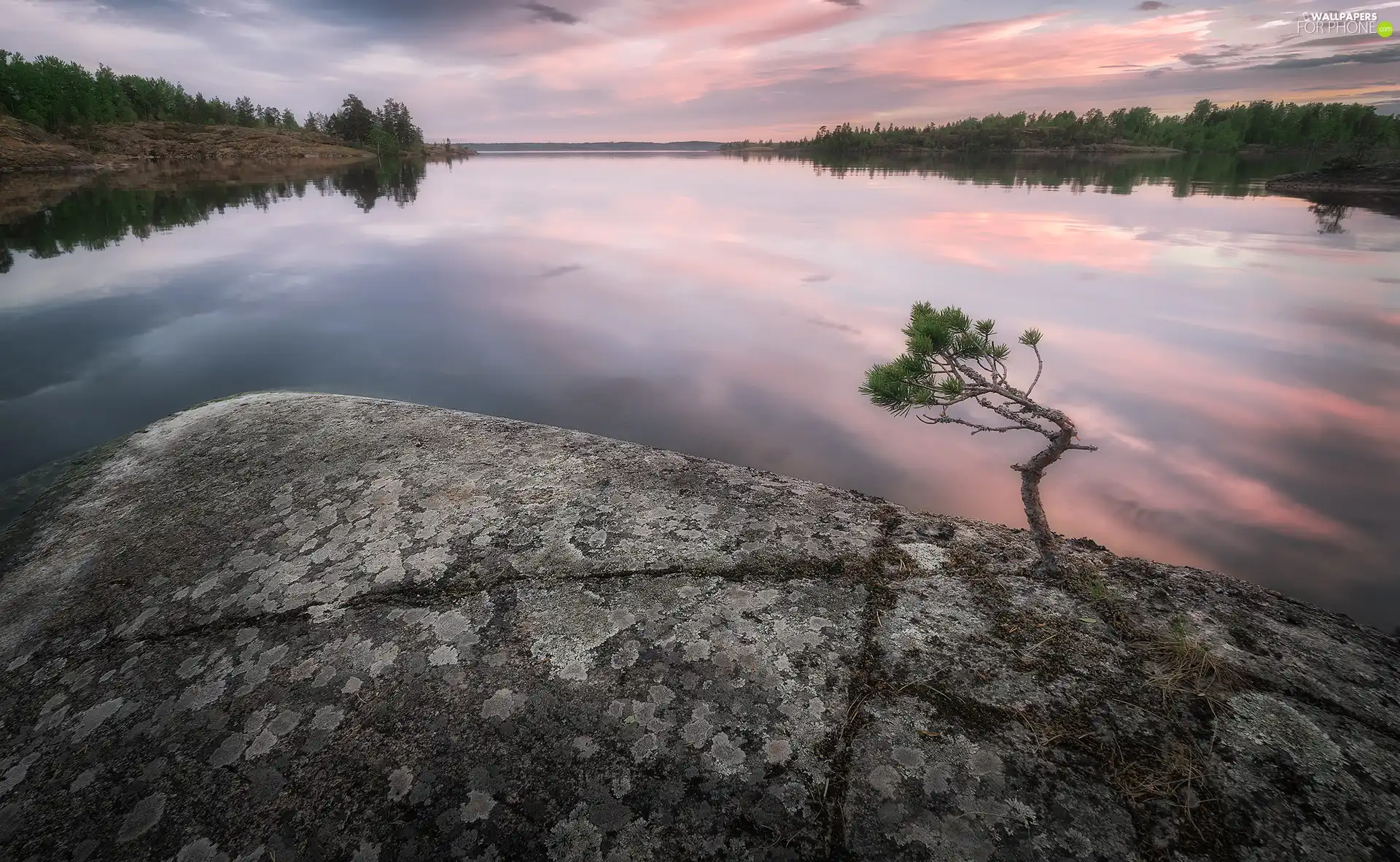 lake, viewes, Rocks, trees