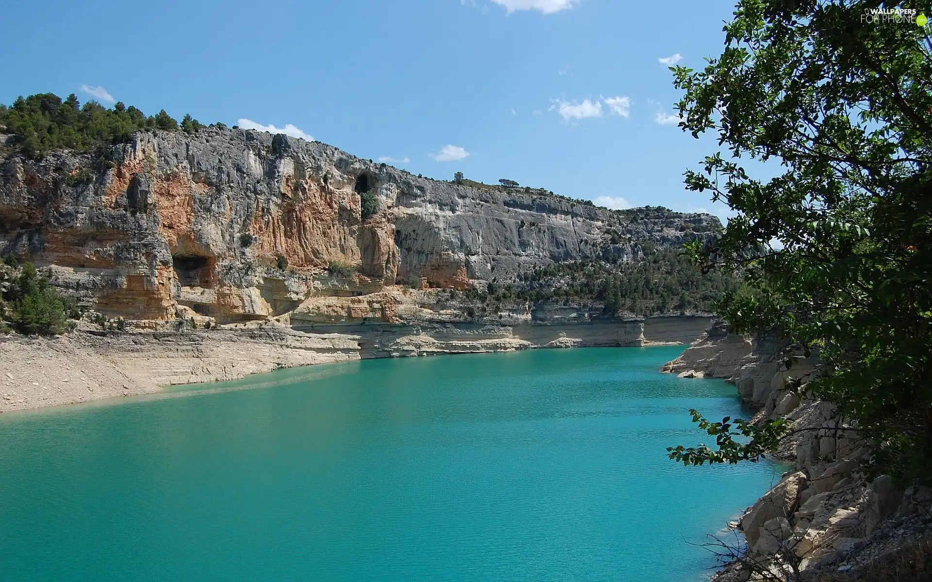 trees, rocks, lake