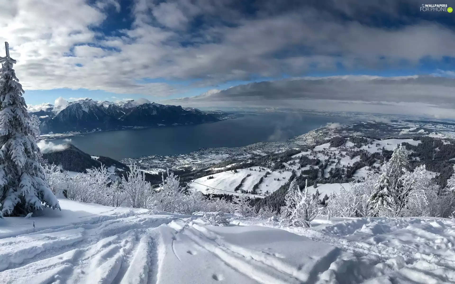 trees, viewes, Switzerland, Alps Mountains, Montreux, snow, winter, Lake Geneva