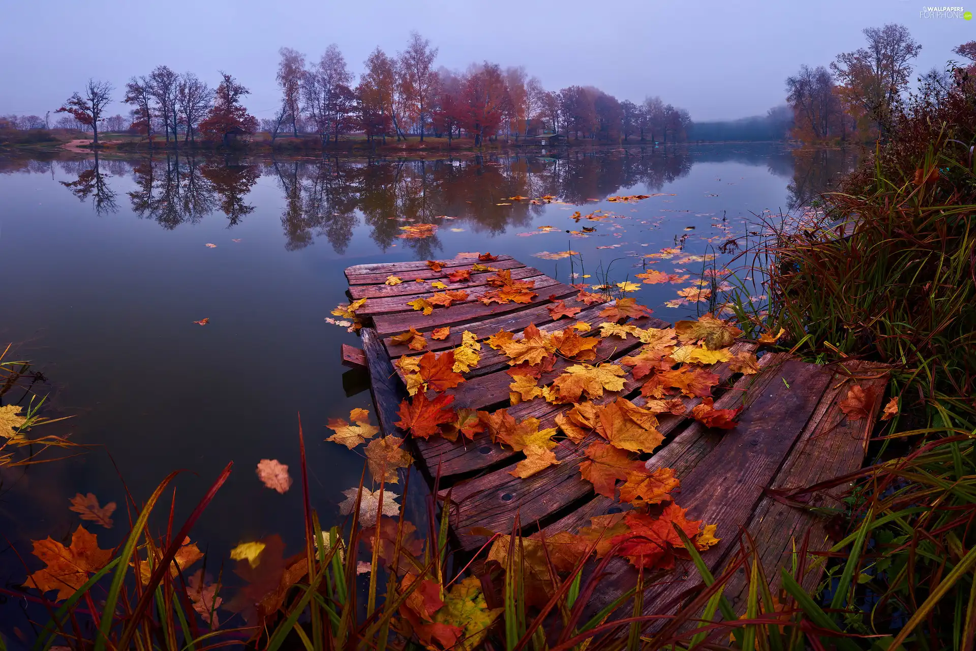 viewes, lake, Leaf, trees, autumn, fallen, Platform