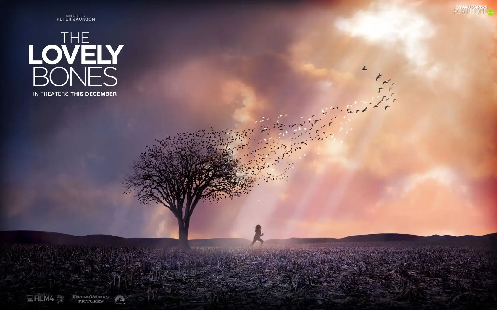 birds, The Lovely Bones, trees