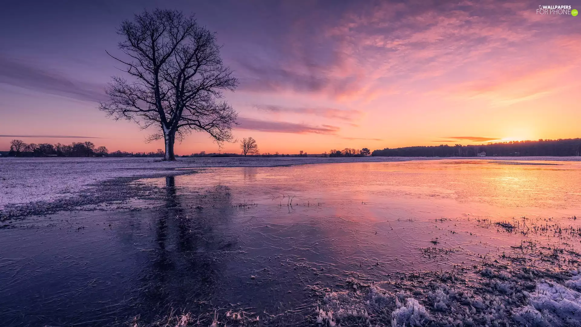 winter, pool, Mazowsze, trees, River, Icecream, Poland