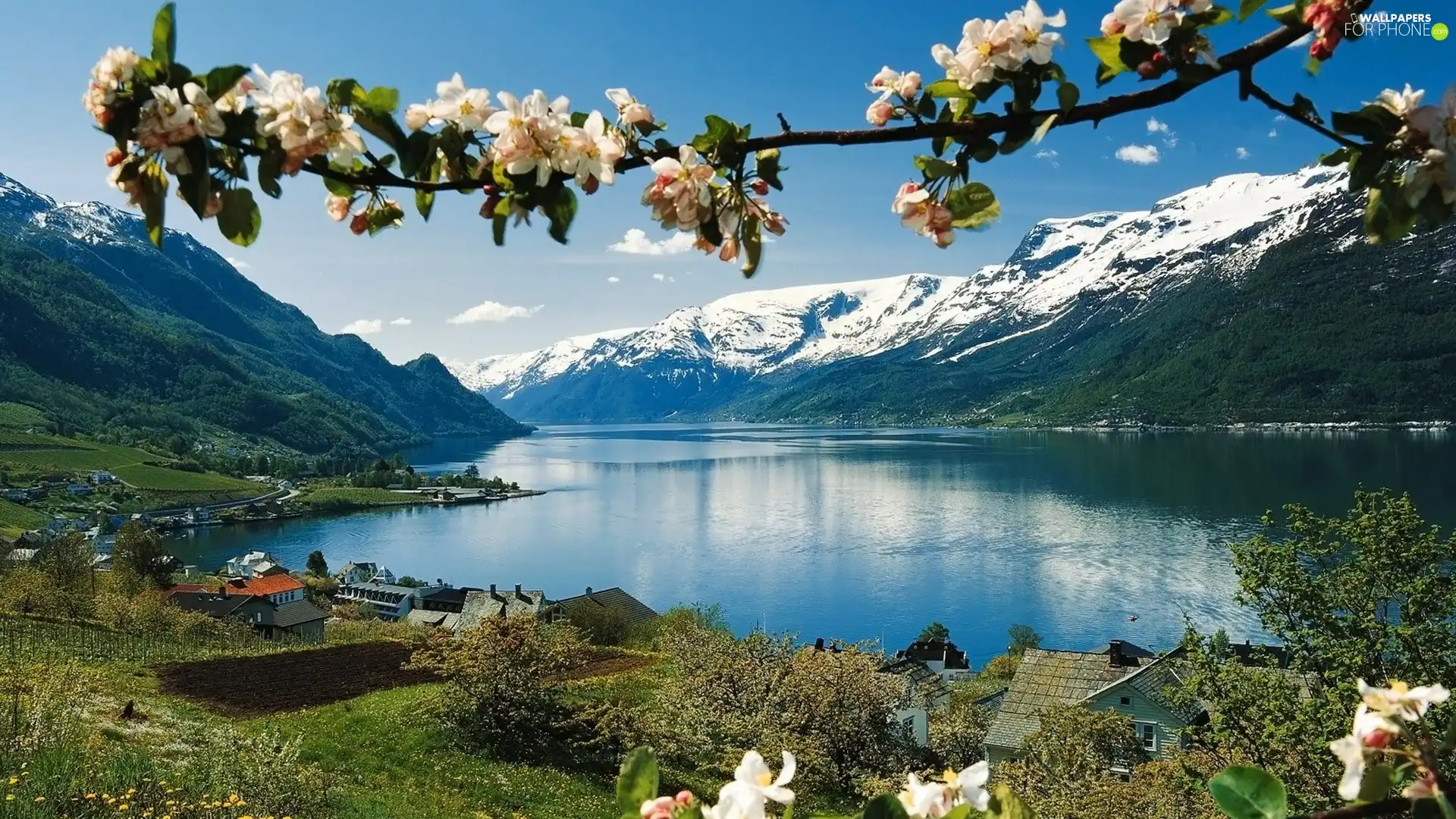 Mountains, flourishing, trees, lake