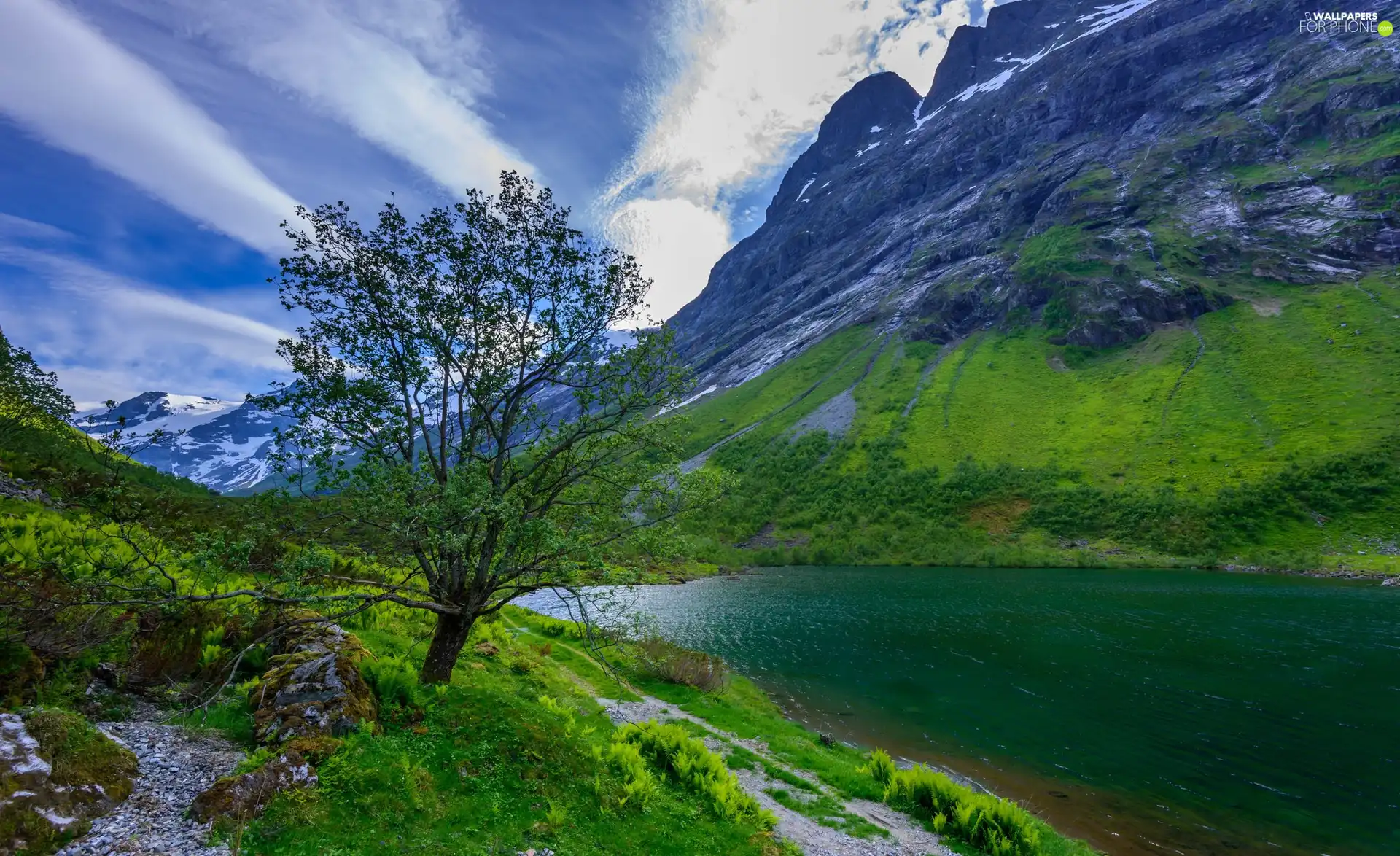 trees, River, Mountains