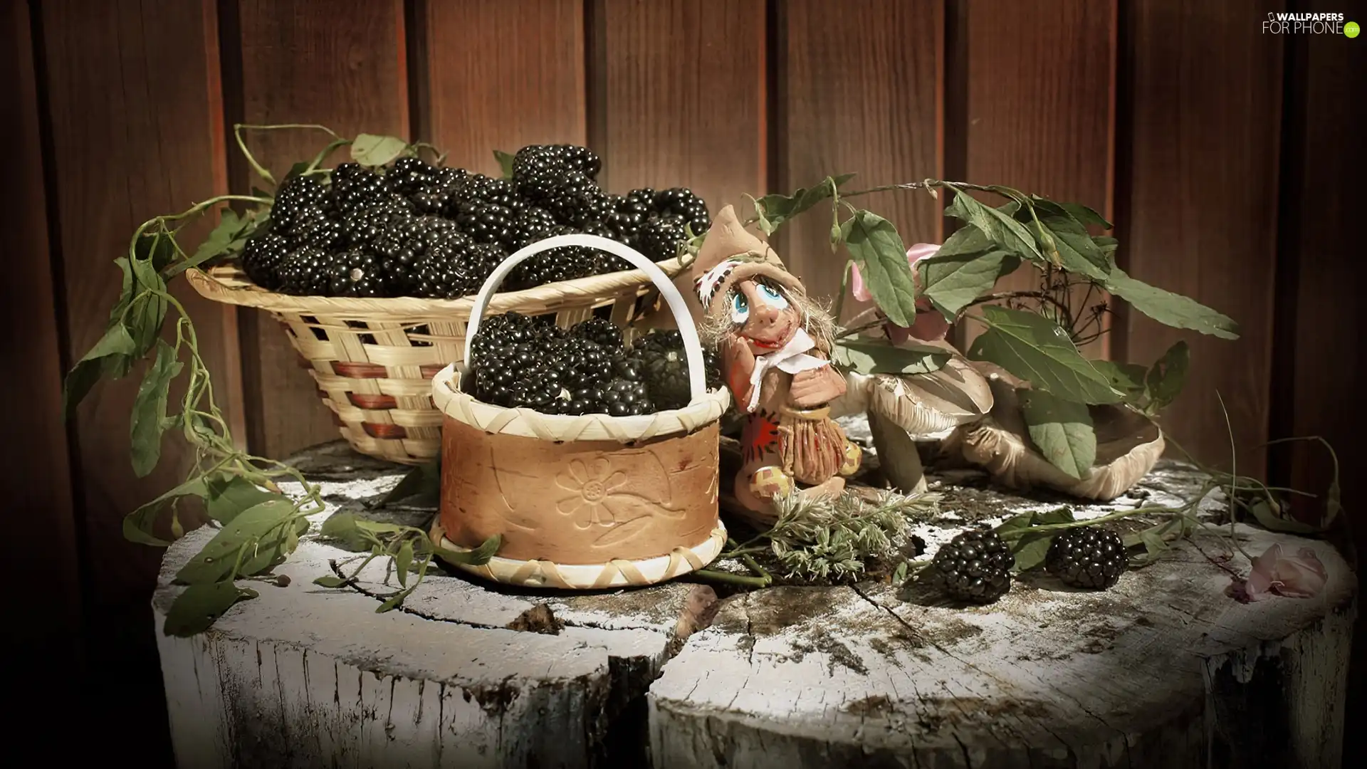 trunk, robust, viewes, blackberries, Baskets, trees, Puppet