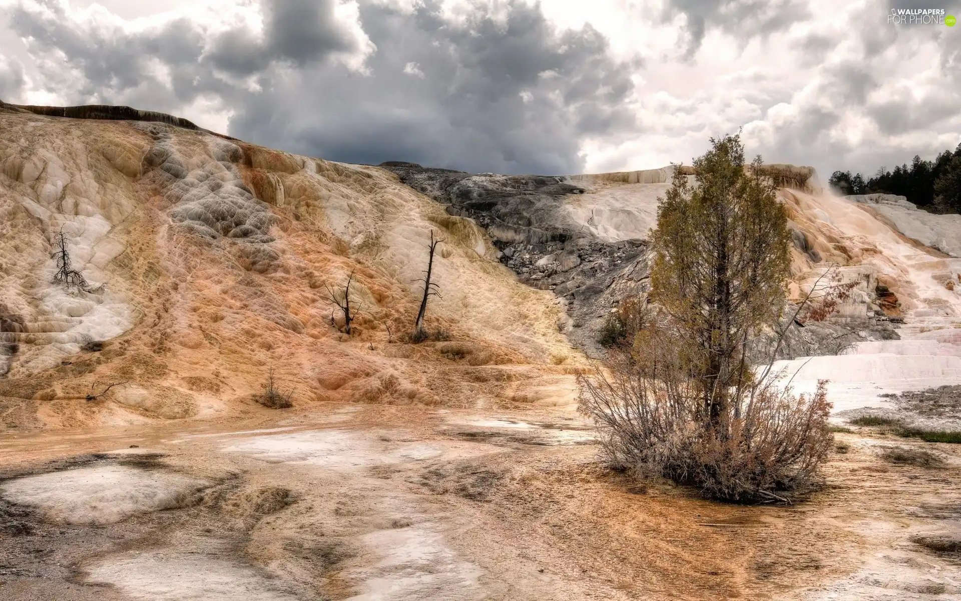 trees, clouds, rocks