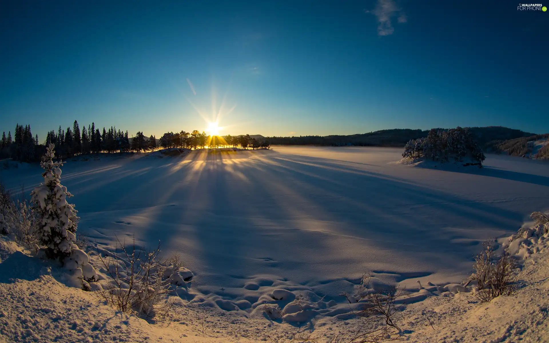 viewes, rays of the Sun, snow, trees, winter