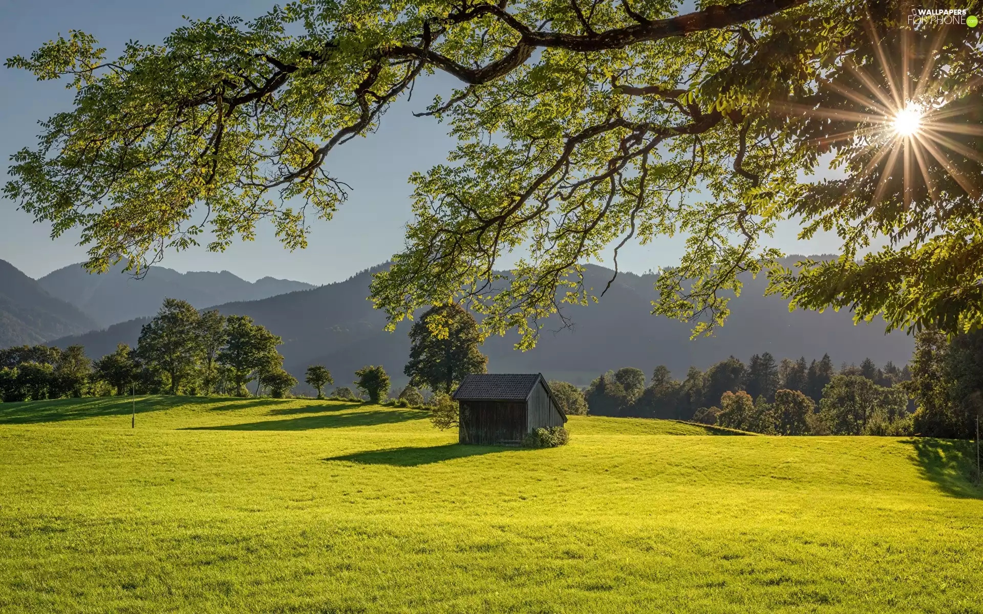 trees, Mountains, cote, rays of the Sun, viewes, Meadow