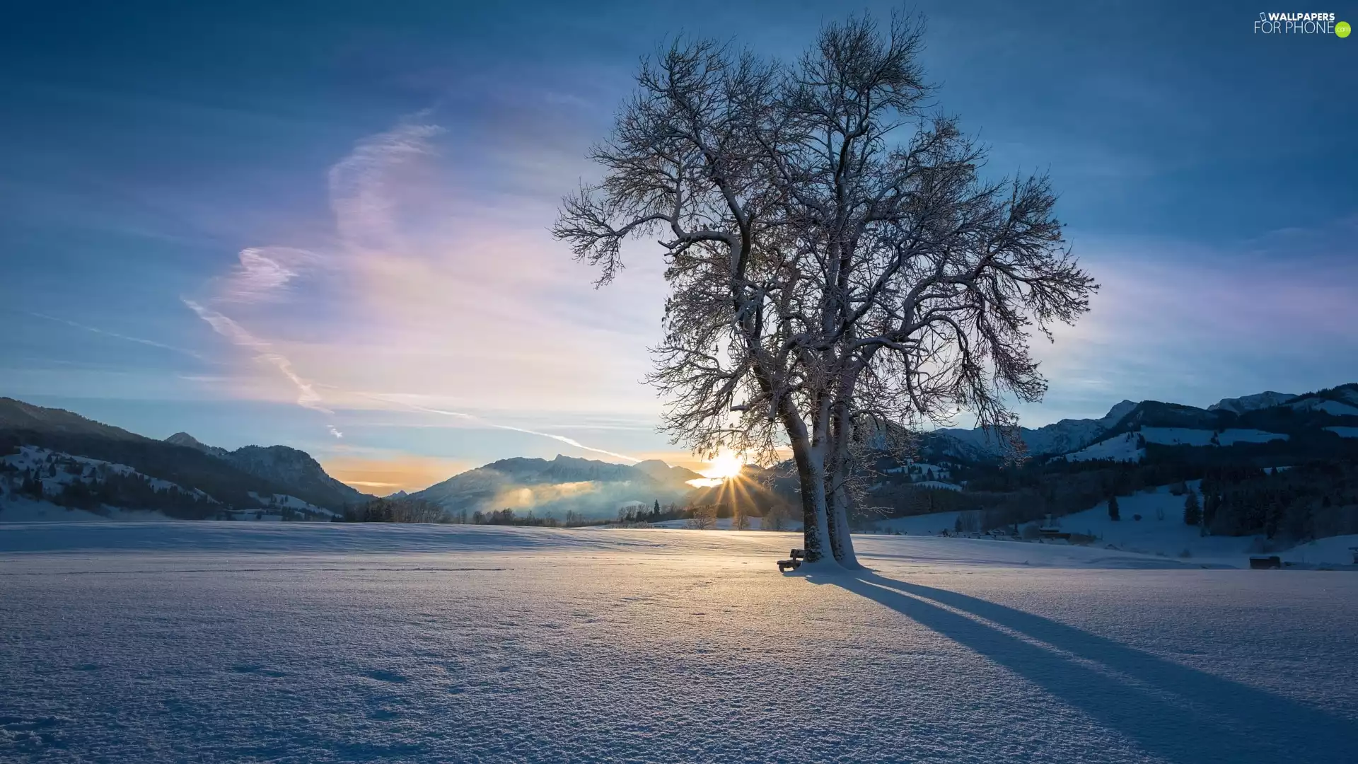 trees, winter, Bench, rays of the Sun, viewes, Mountains