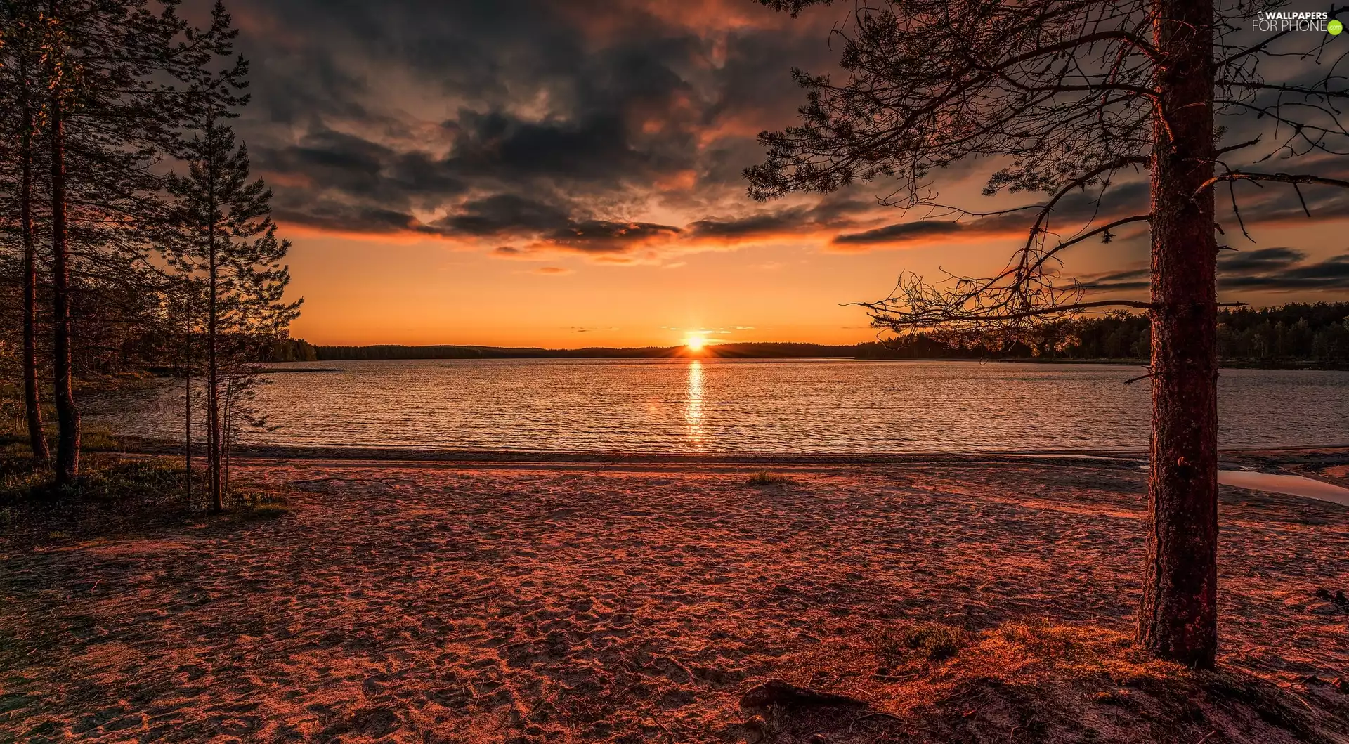 viewes, clouds, lake, trees, Great Sunsets