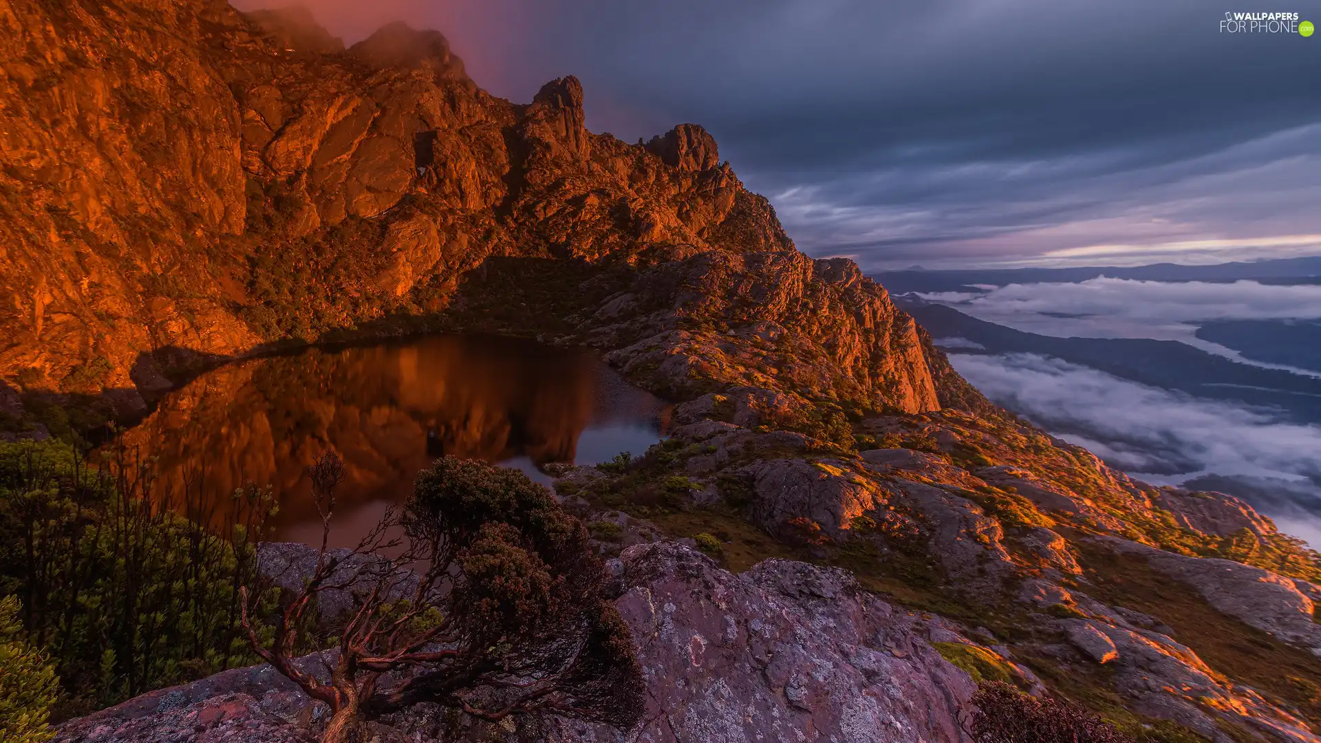 pine, lake, Tasmania, trees, rocks, Mountains, Australia