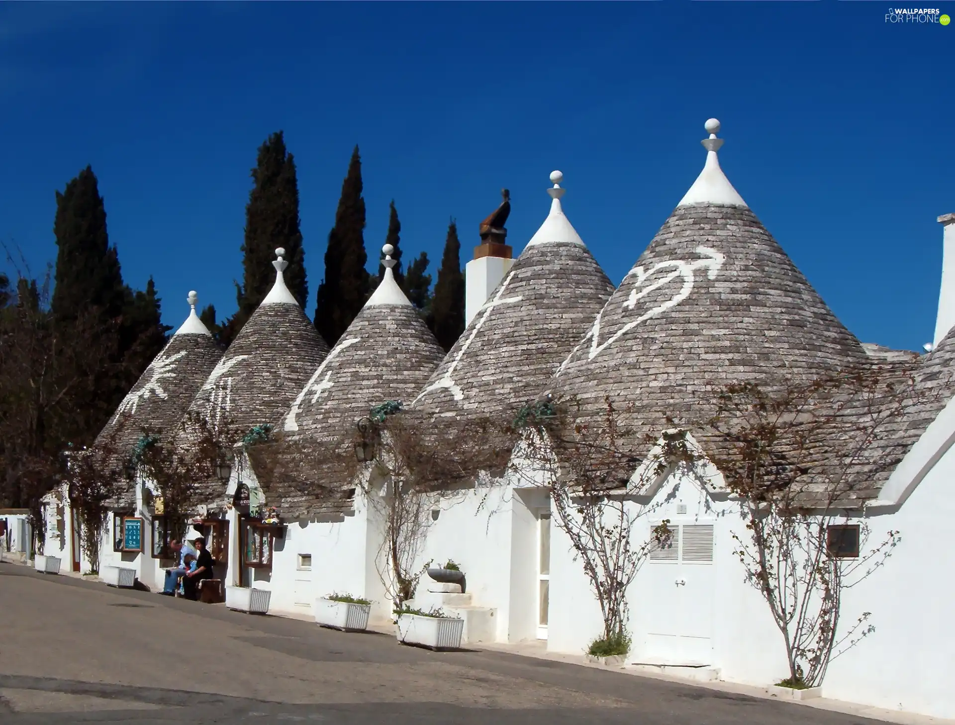 trees, viewes, Houses, Street, Alberobello