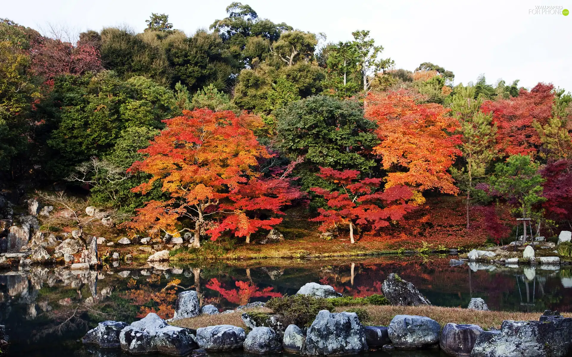 River, Japan, trees, viewes, color, Kyoto