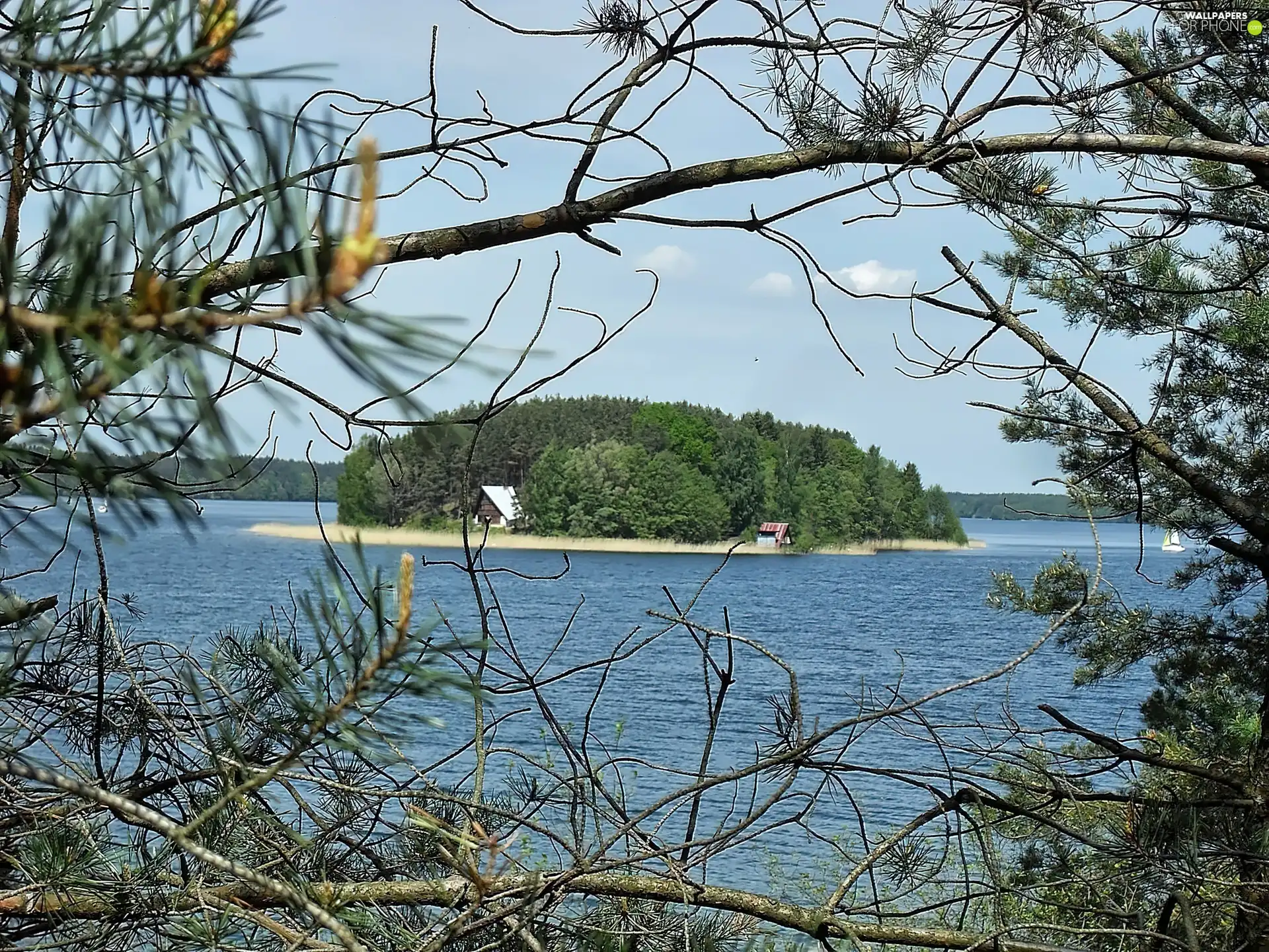 forest, lake, trees, viewes, Home, Island