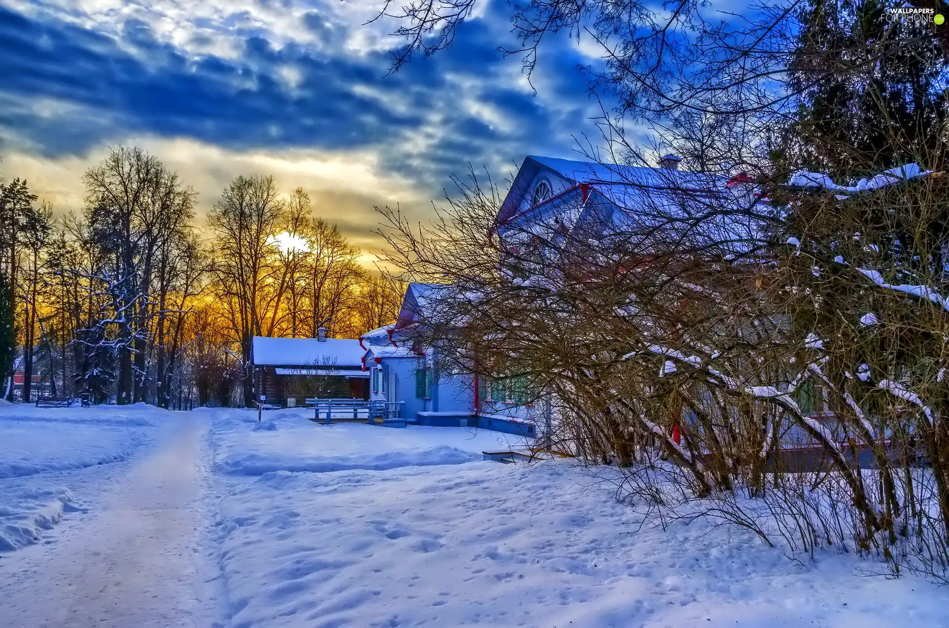 snow, west, trees, viewes, house, sun