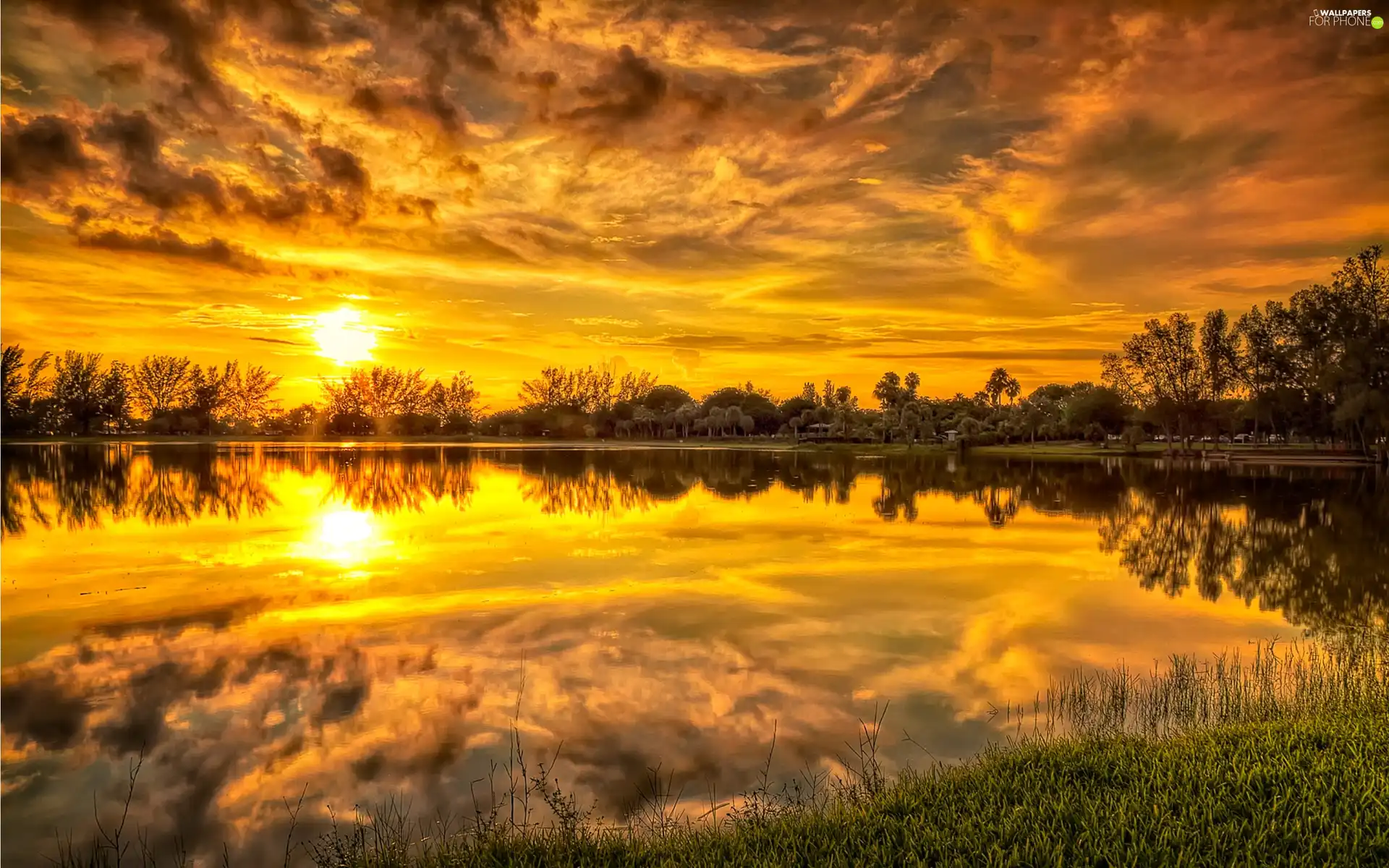 sun, clouds, trees, viewes, lake, west