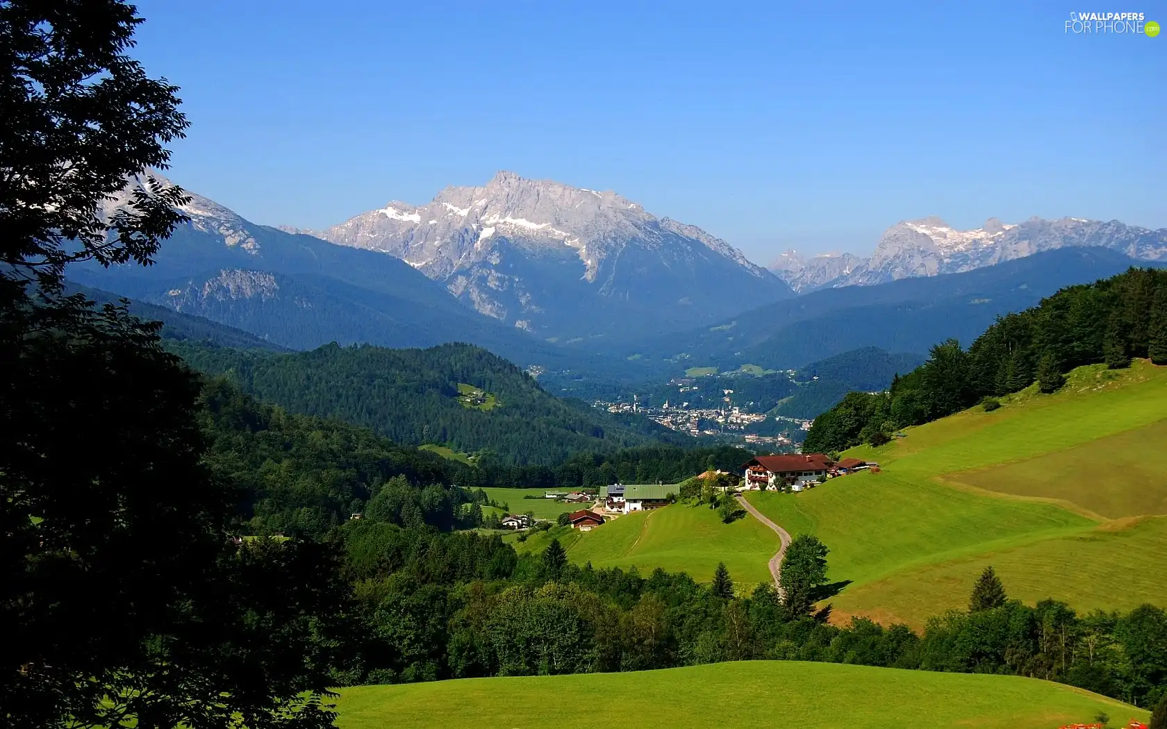 trees, viewes, Town, medows, Mountains