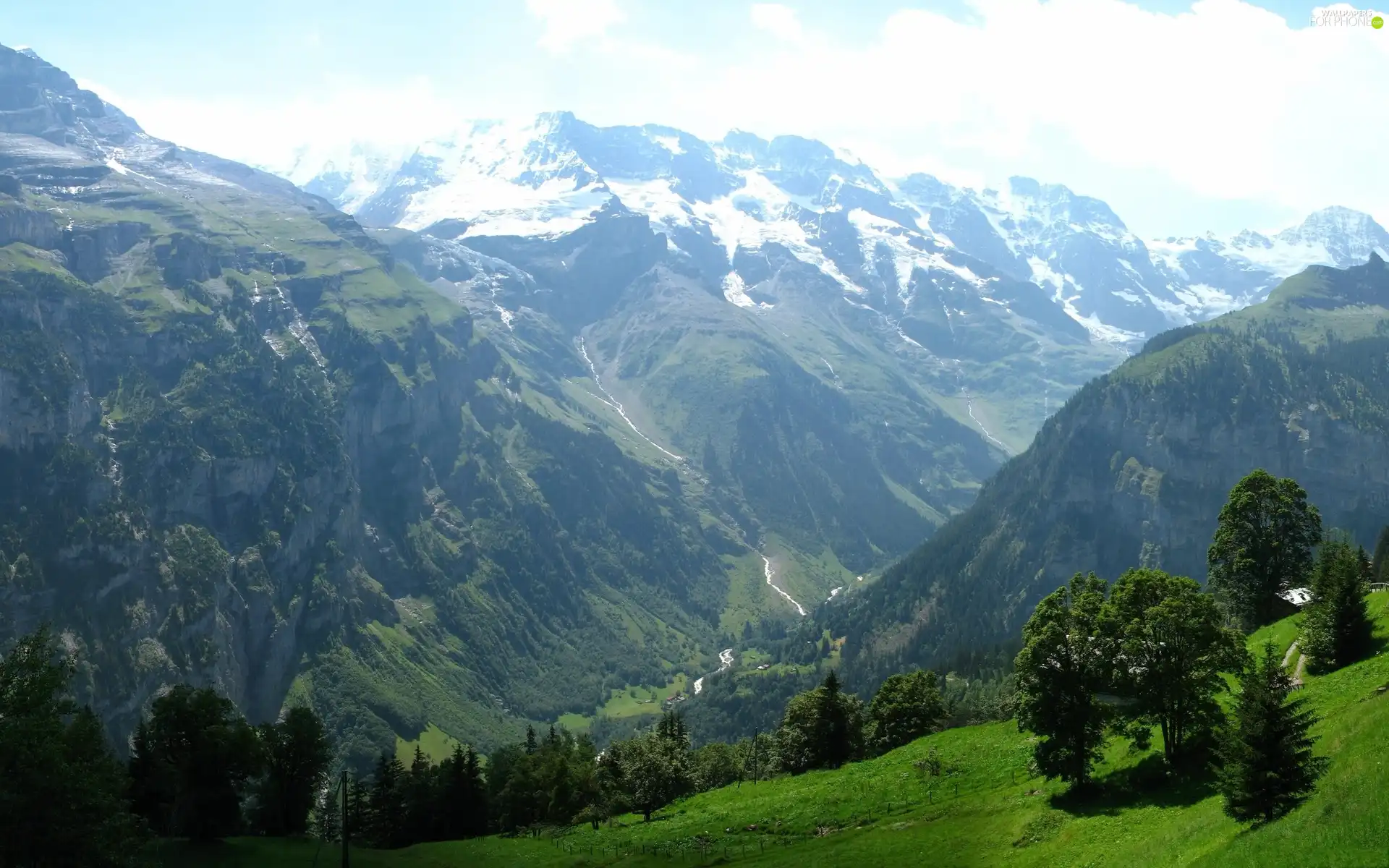 trees, viewes, grass, slope, Mountains