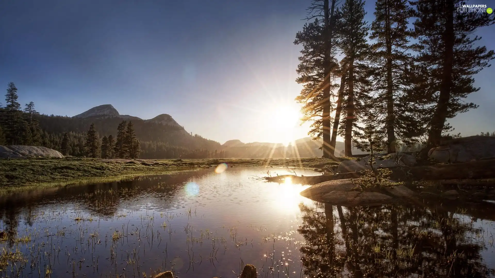 trees, viewes, sun, lake, rays