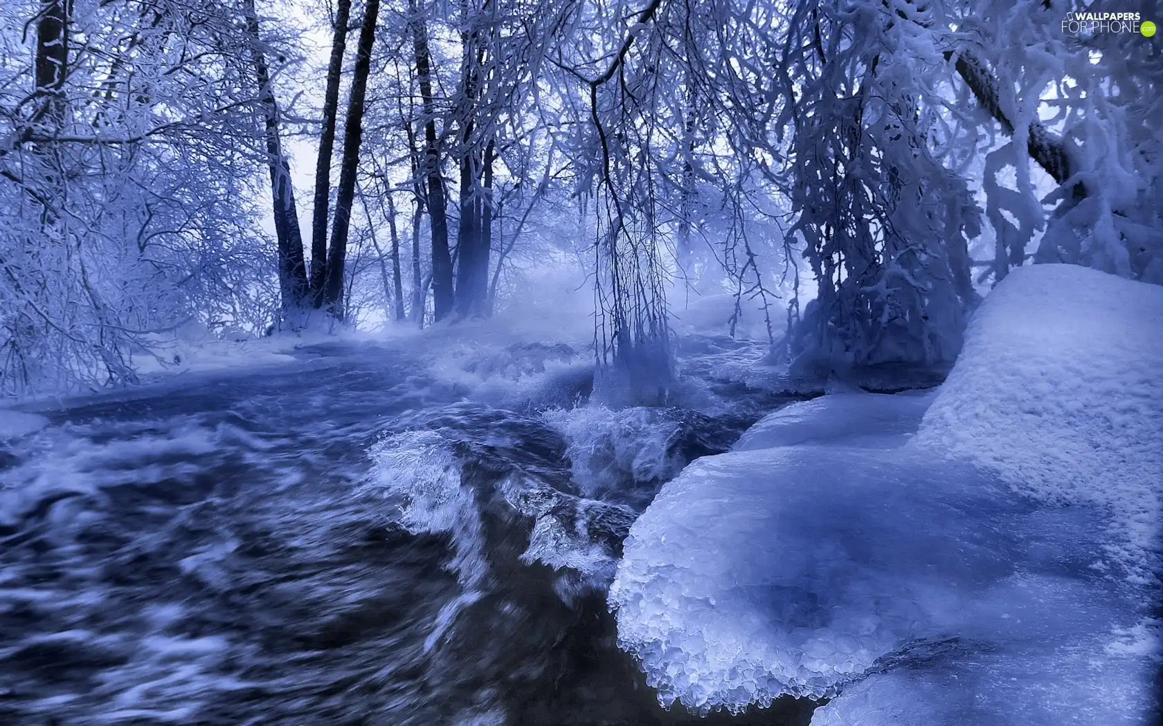 trees, viewes, Icecream, Snowy, River