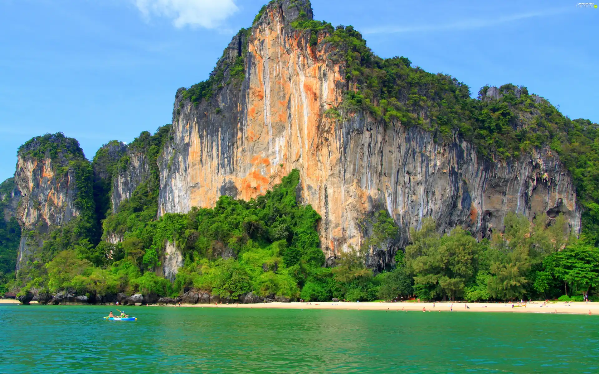 trees, viewes, sea, Beaches, rocks