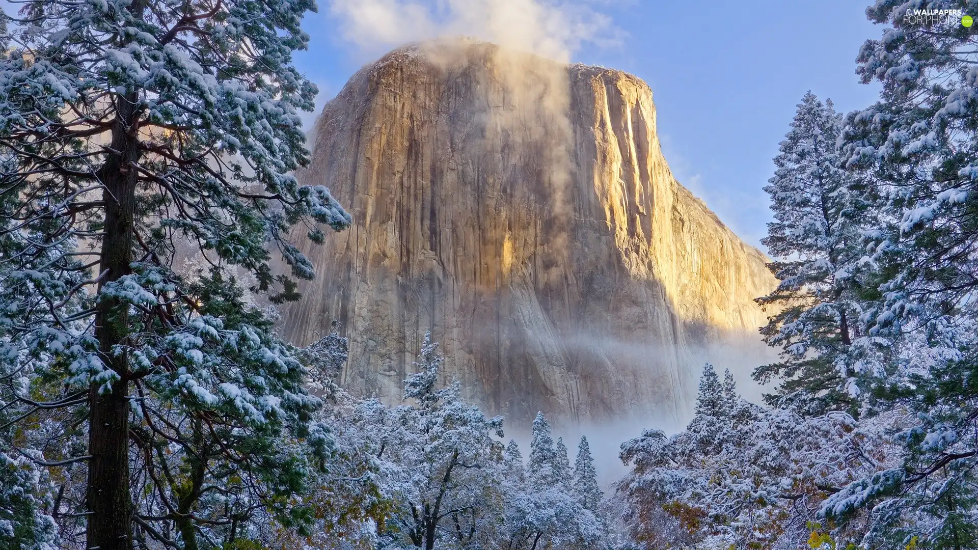 national, California, trees, viewes, rocks, Park