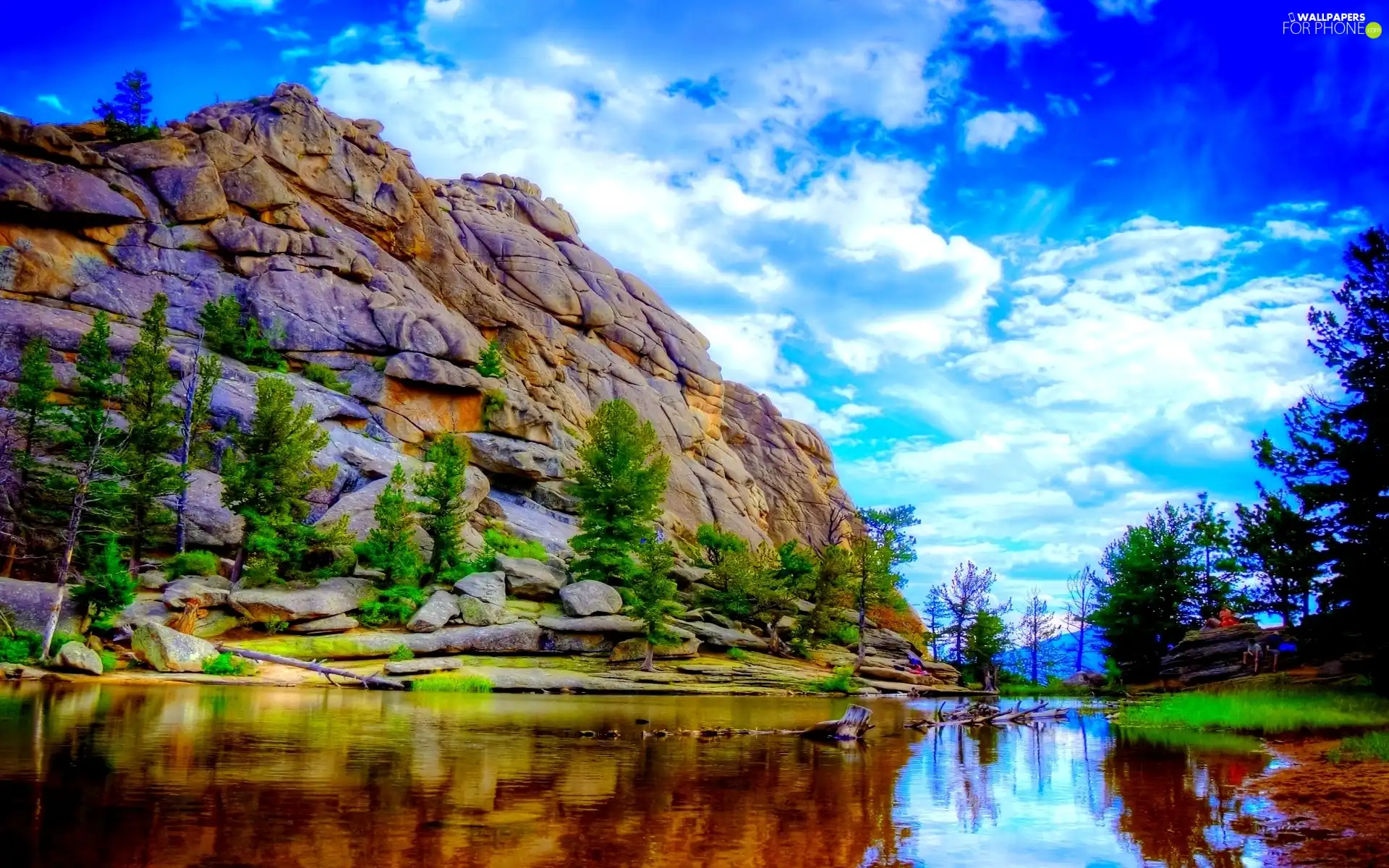 trees, viewes, mountains, River, Rocky