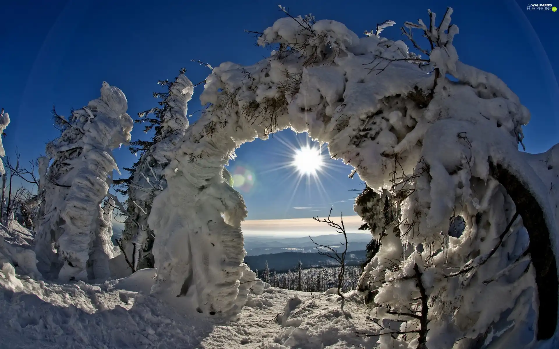 trees, viewes, sun, Snowy, Sky