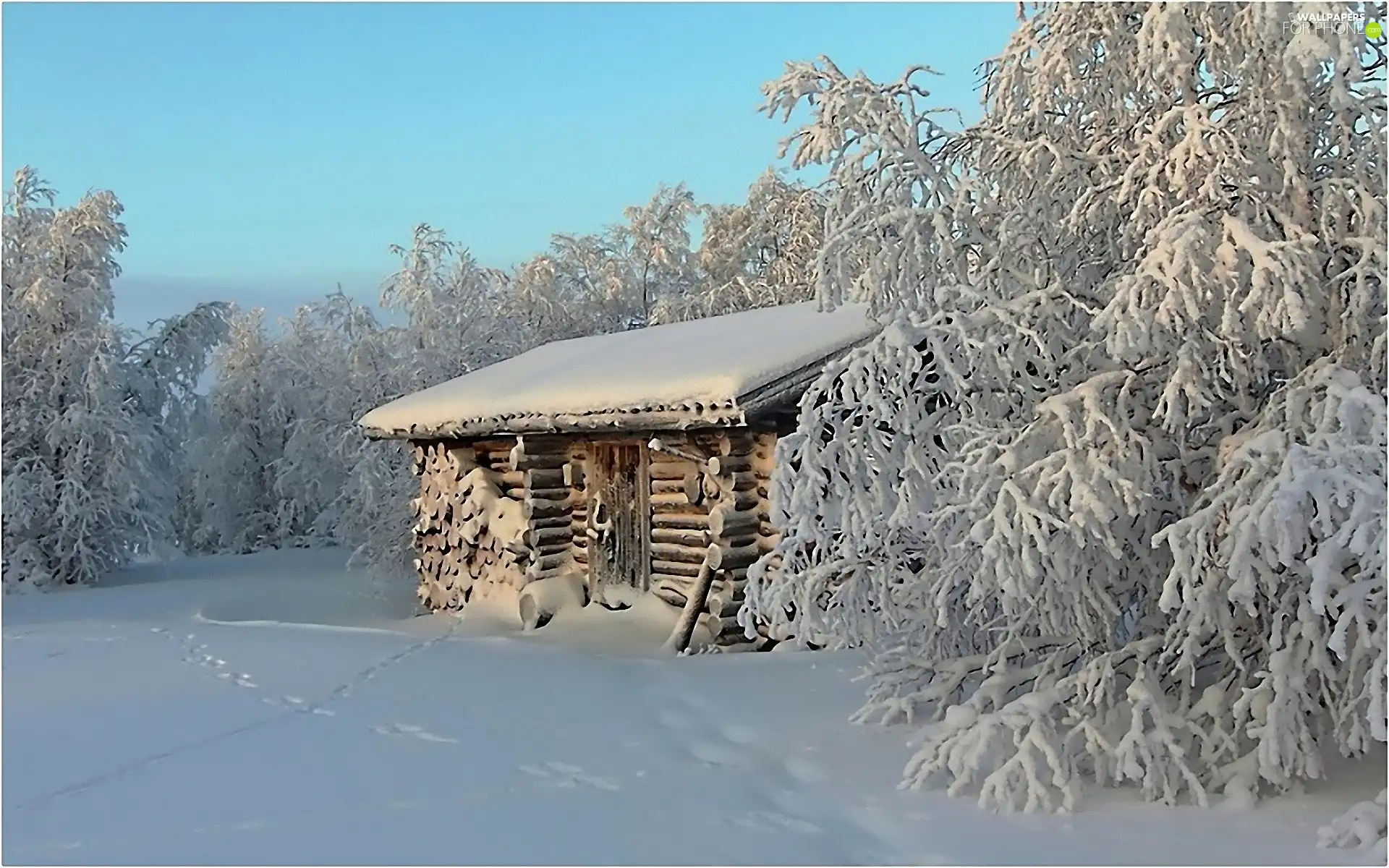 Home, Beauty, trees, viewes, Snowy, winter