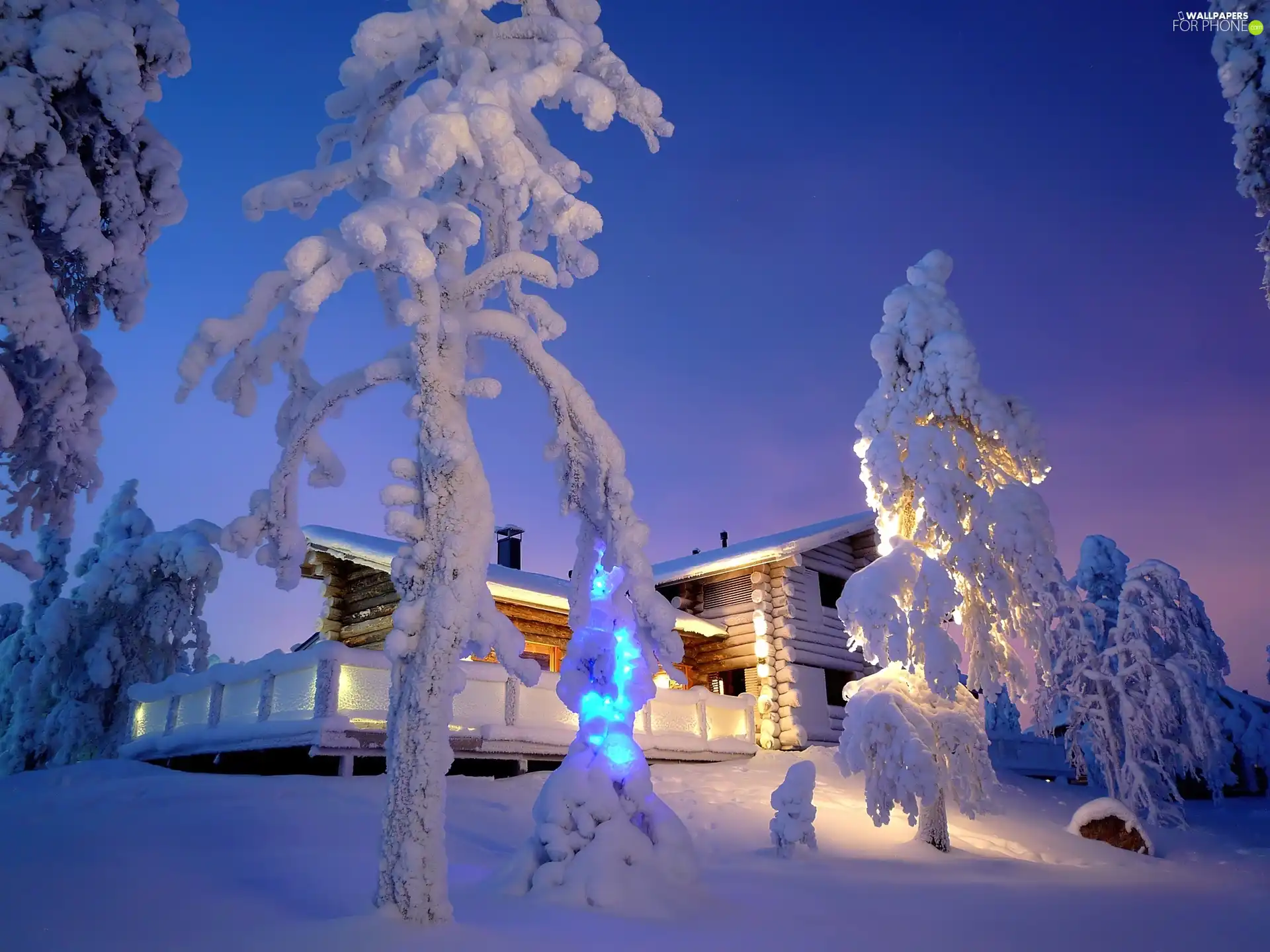 Home, winter, trees, viewes, Snowy, Floodlit