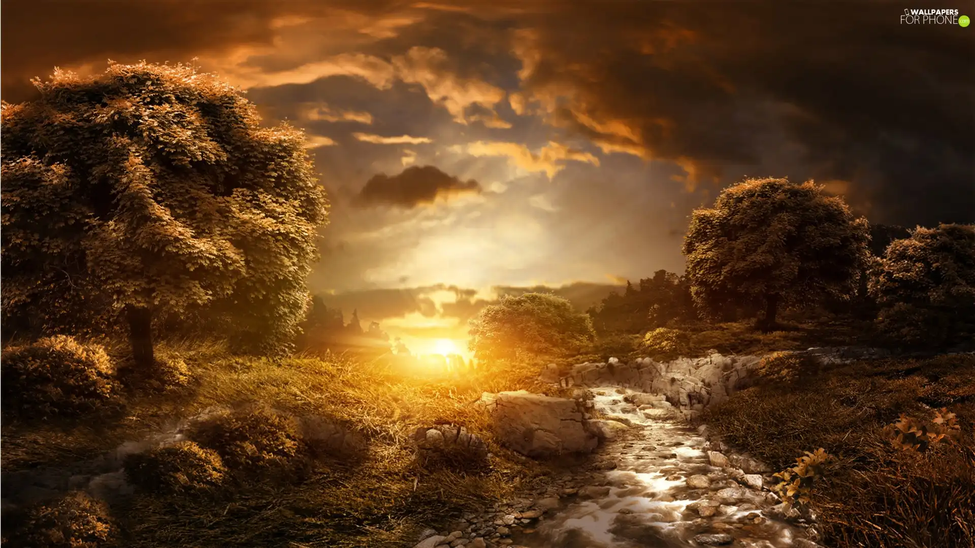 sun, clouds, trees, viewes, stream, west