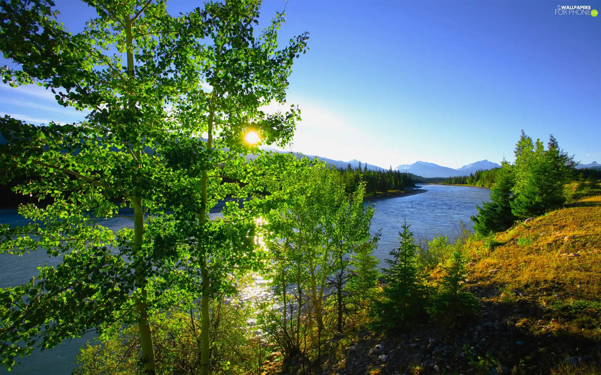 rays, River, trees, viewes, sun, Mountains