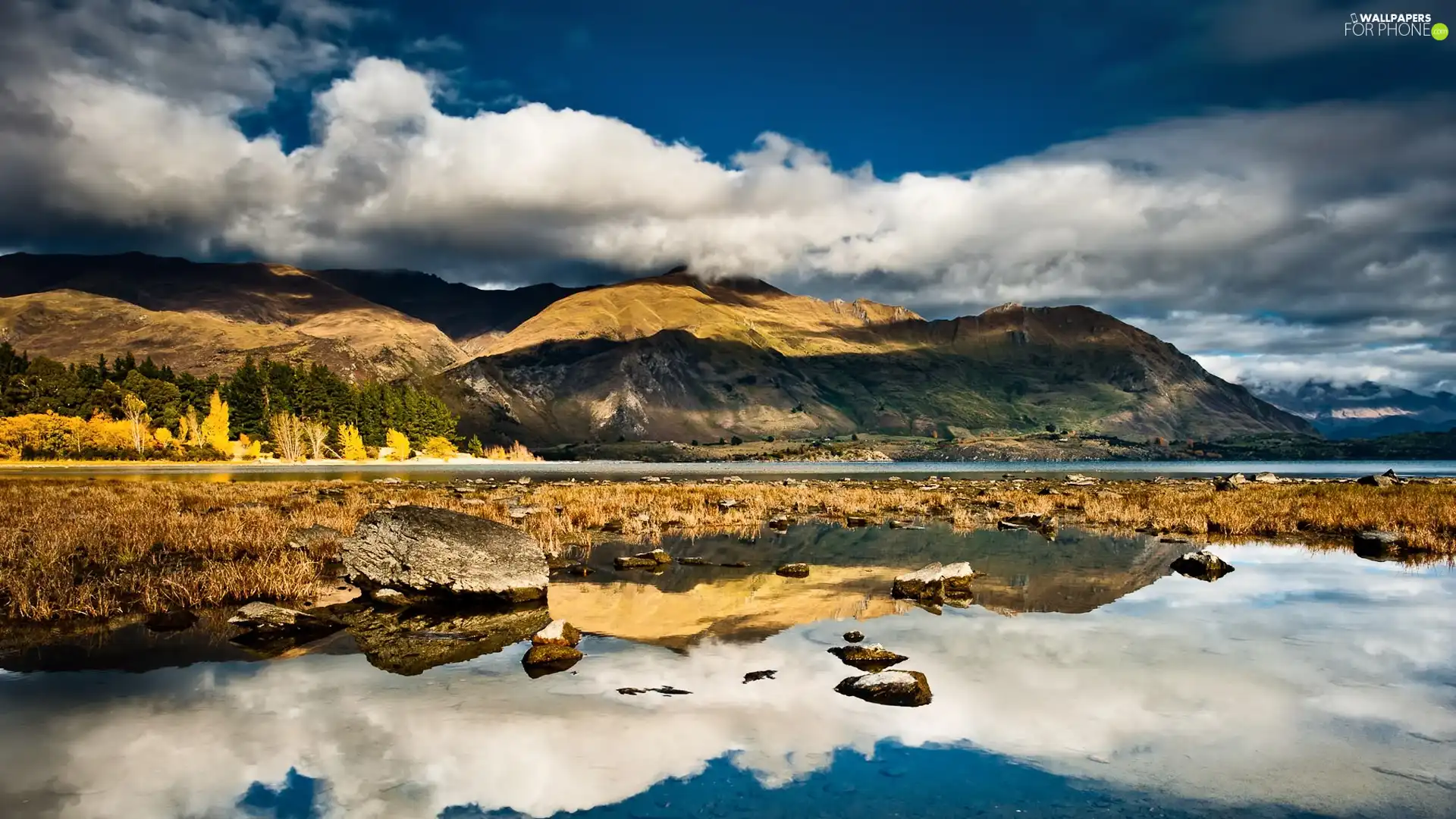 trees, viewes, Sky, clouds, water