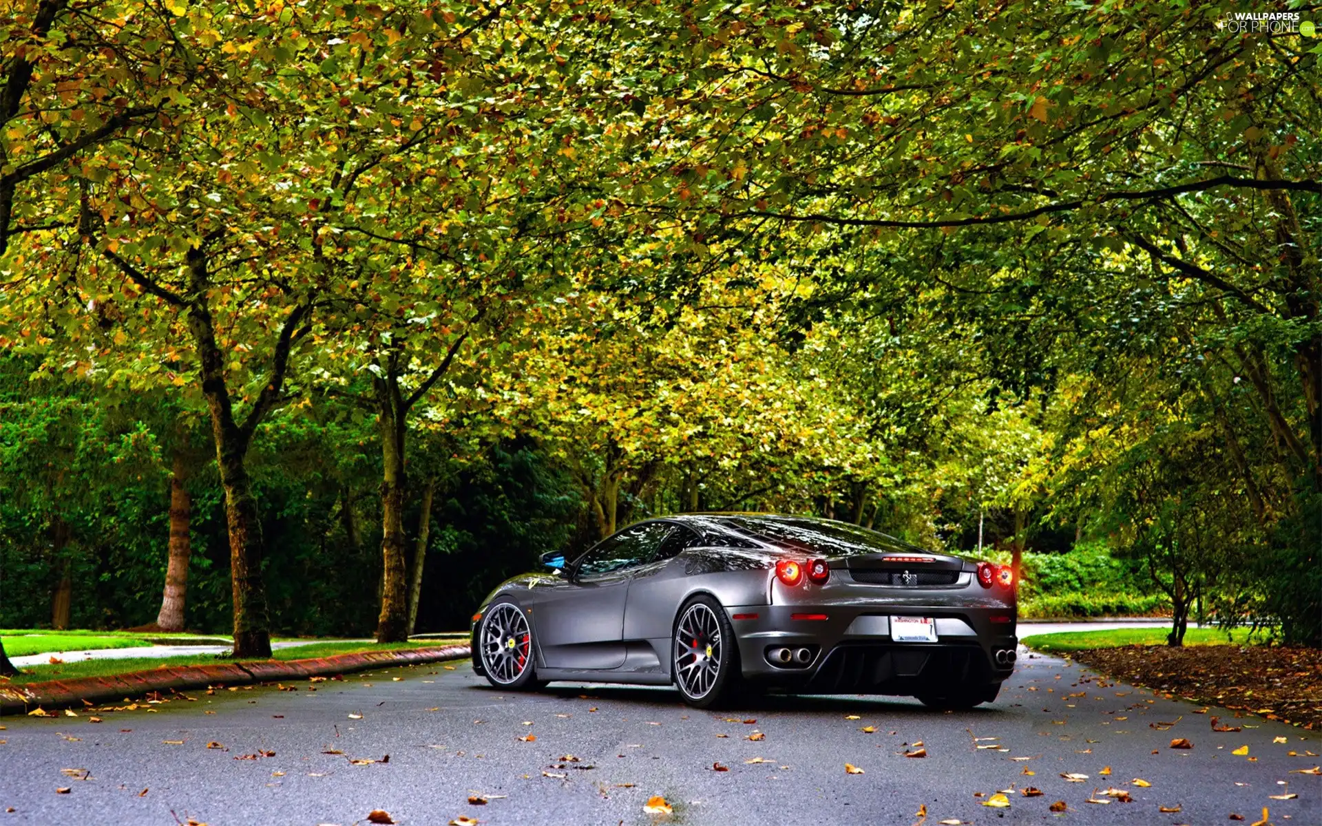 autumn, Ferrari, trees, viewes, Way, F430