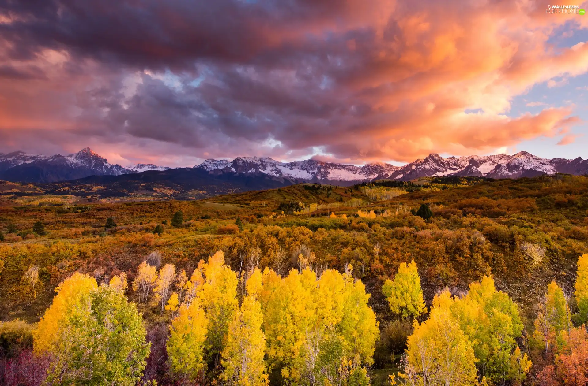 trees, viewes, sun, Mountains, west