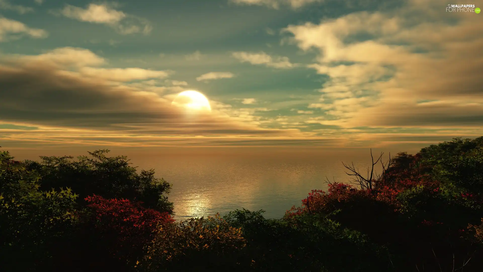 trees, viewes, sun, sea, west