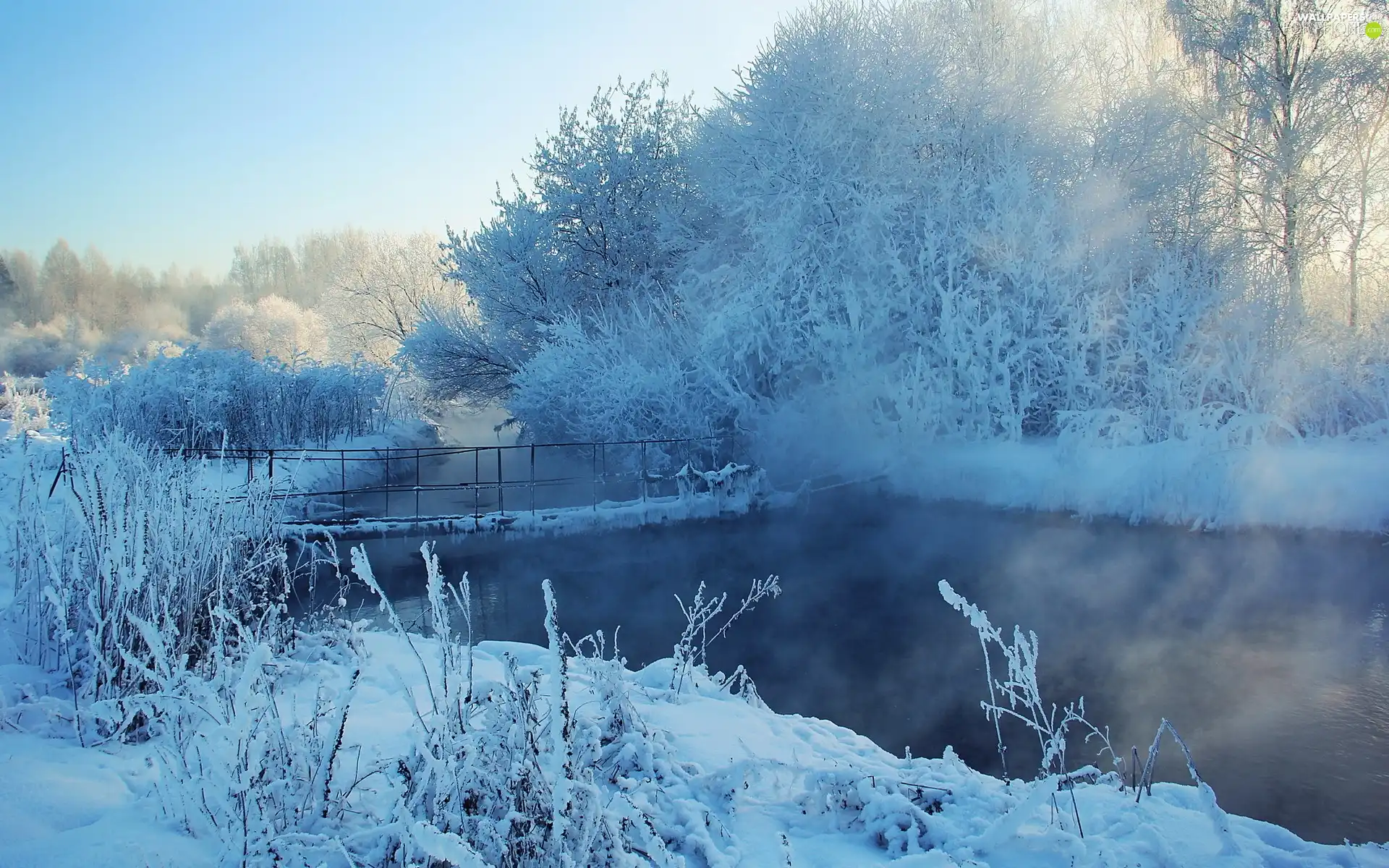 trees, viewes, River, bridge, winter