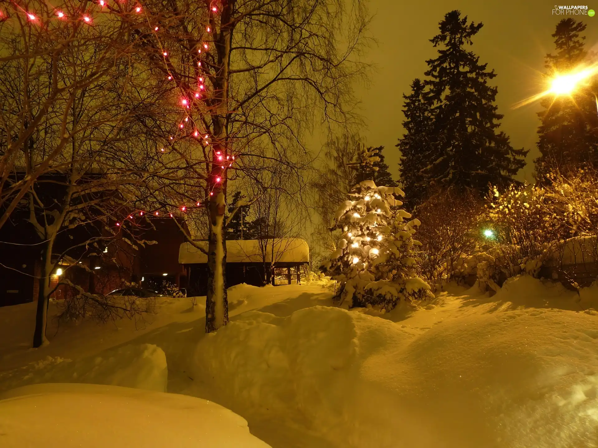 trees, viewes, house, illuminated, winter